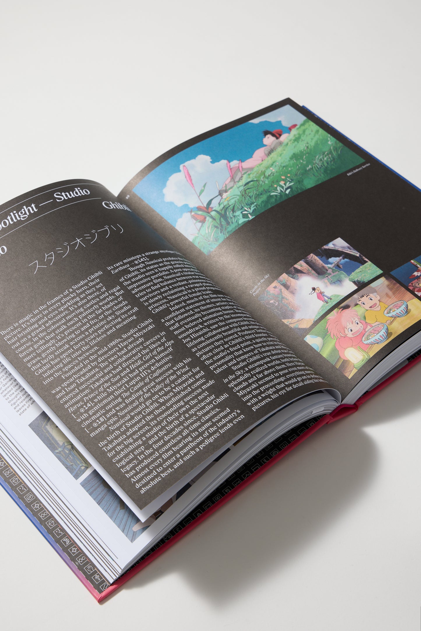 Ultimate Anime: 100 Essential Films and Series