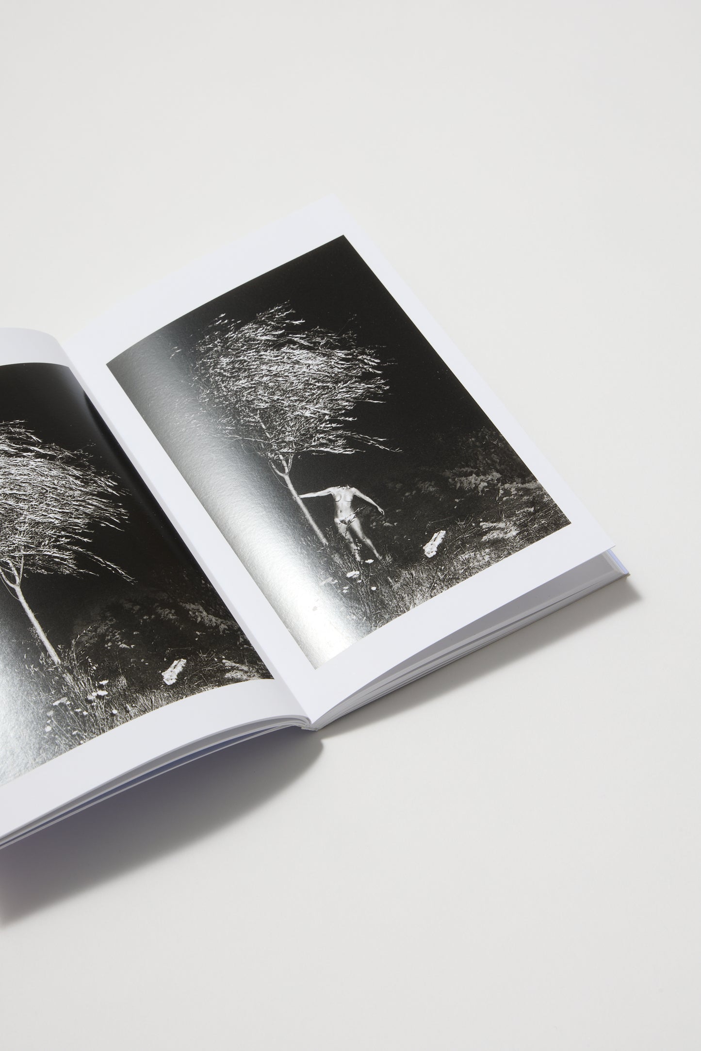 Helmut Newton (Photofile)