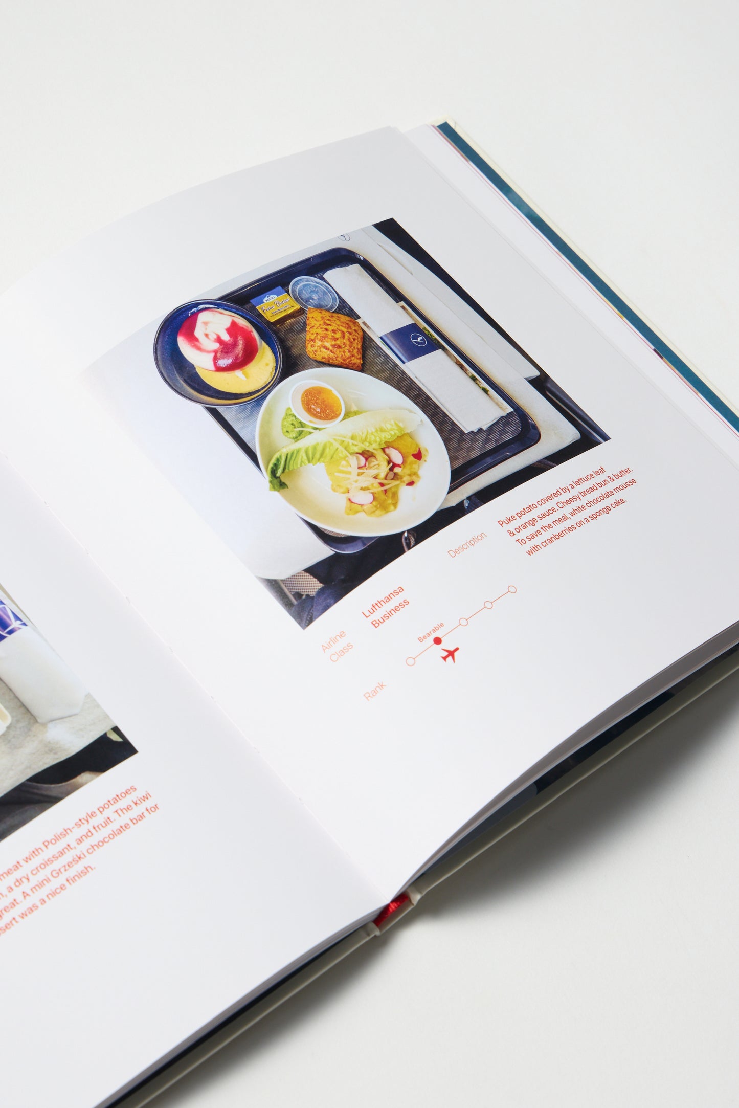 Plane Food: A Frequent Flier's Taste of Feasts and Fails