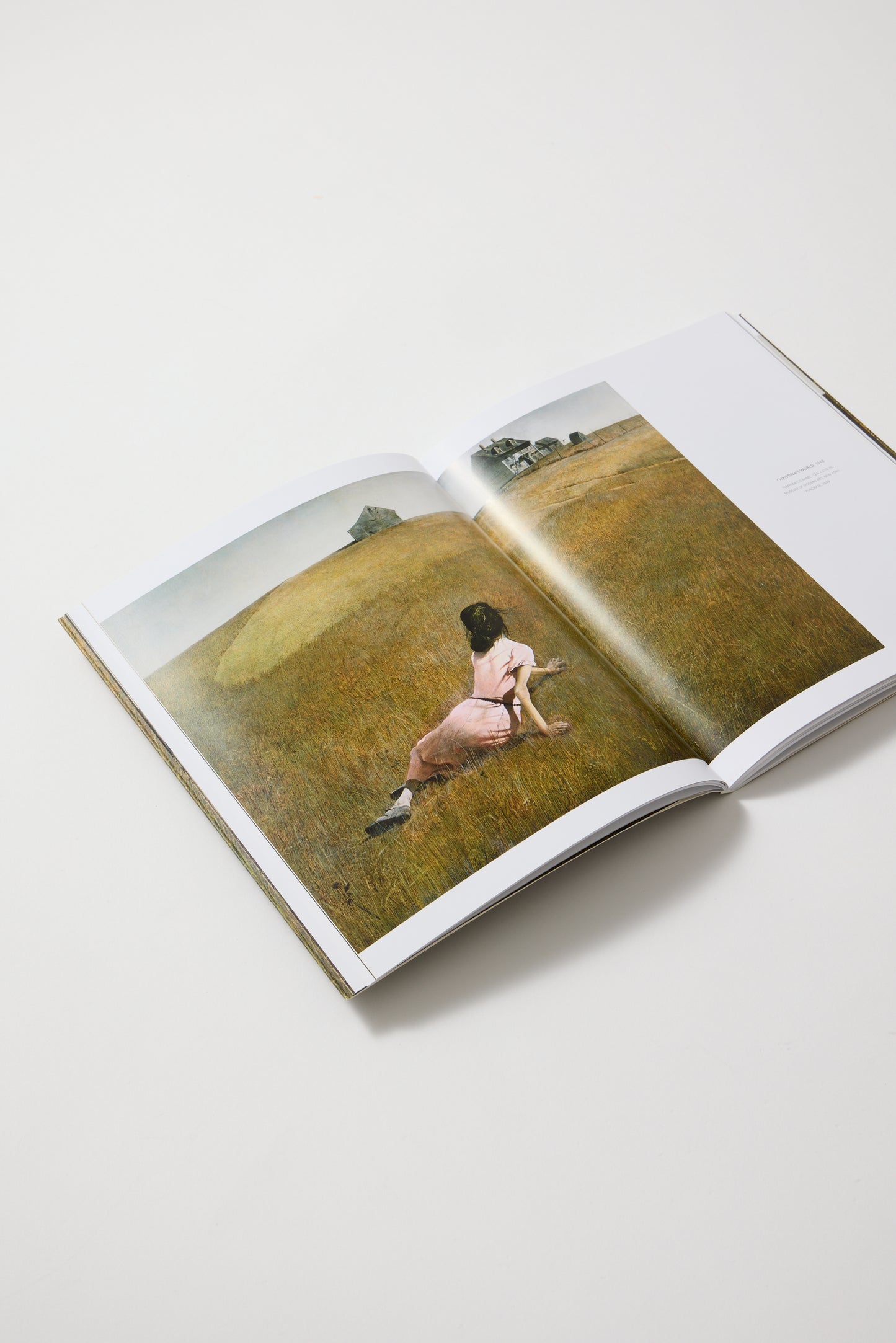 Andrew Wyeth: People and Places