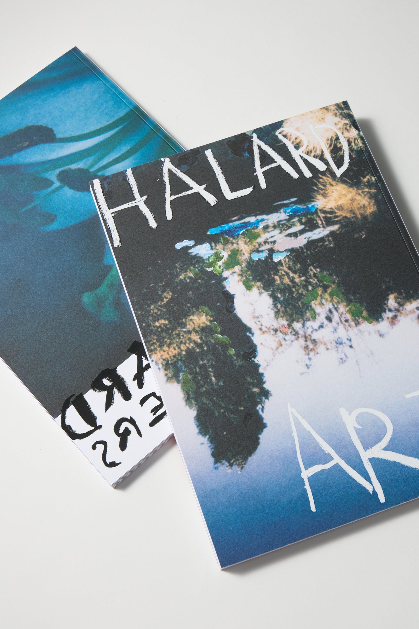 Francois Halard: Art & Flowers