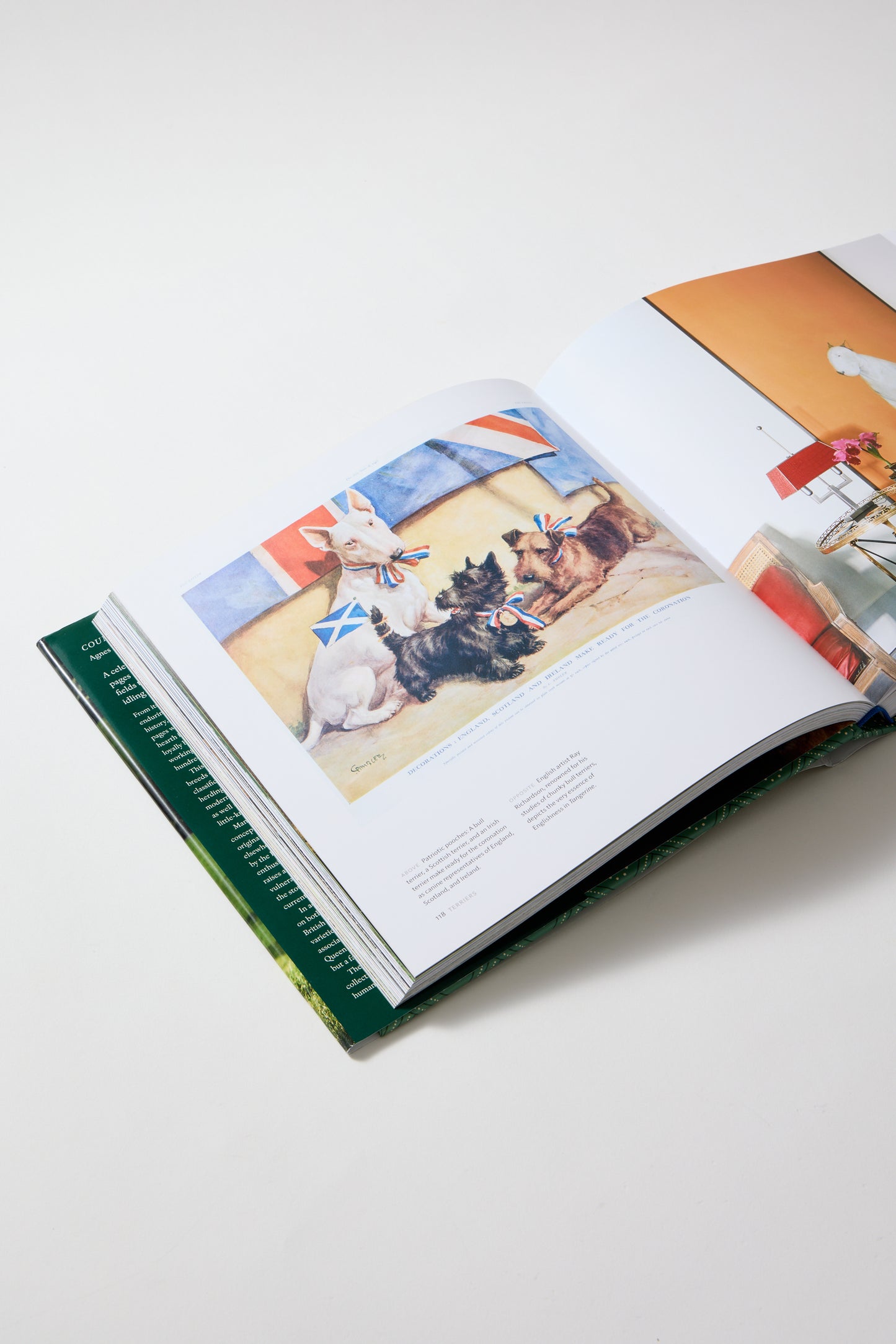 The country life book of dogs