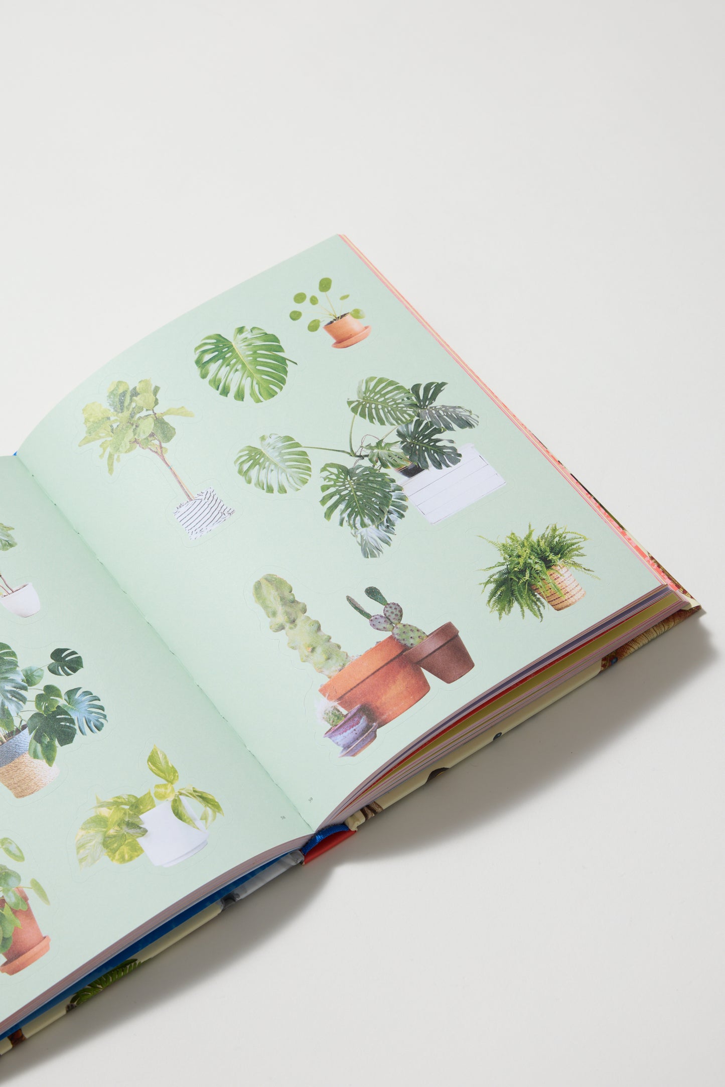 Extraordinary Things Sticker Book