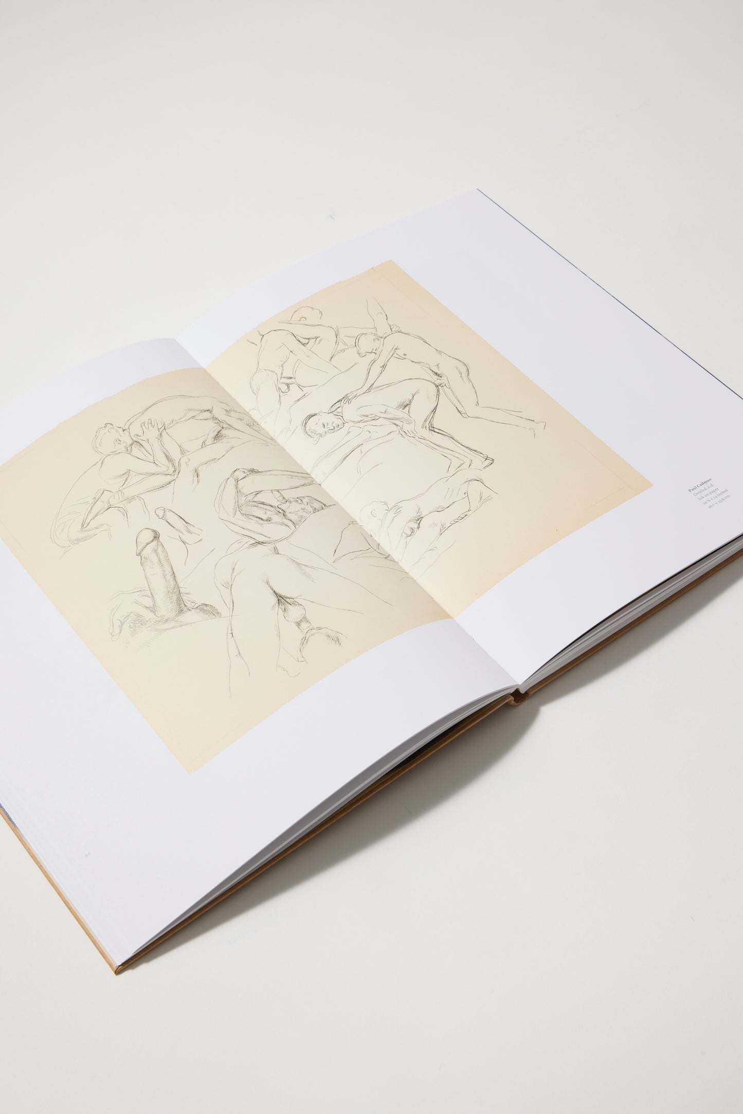 The young and Evil : Queer Modernism in New York, 1930-1955