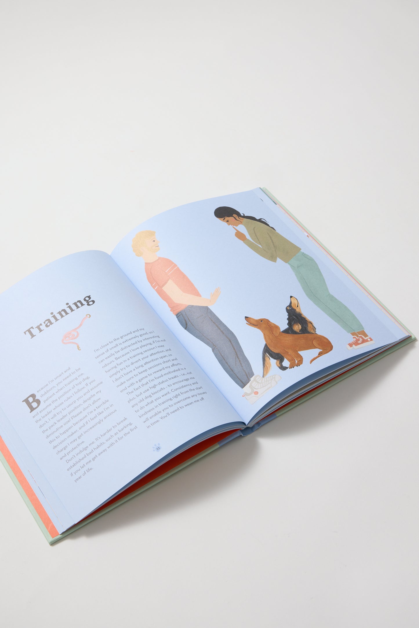 Dachshunds: What Dachshunds Want: In Their Own Words, Woofs, and Wags
