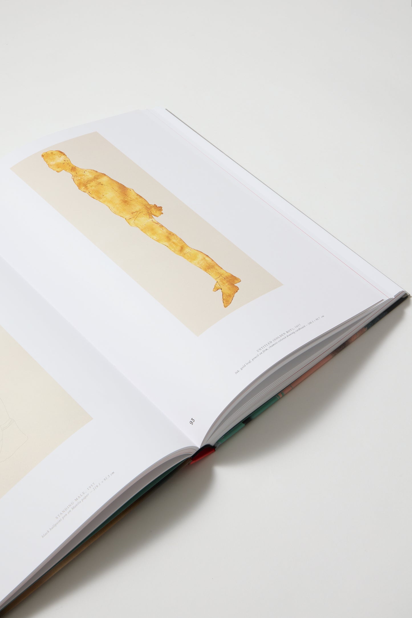 Andy Warhol. Velvet Rage and Beauty