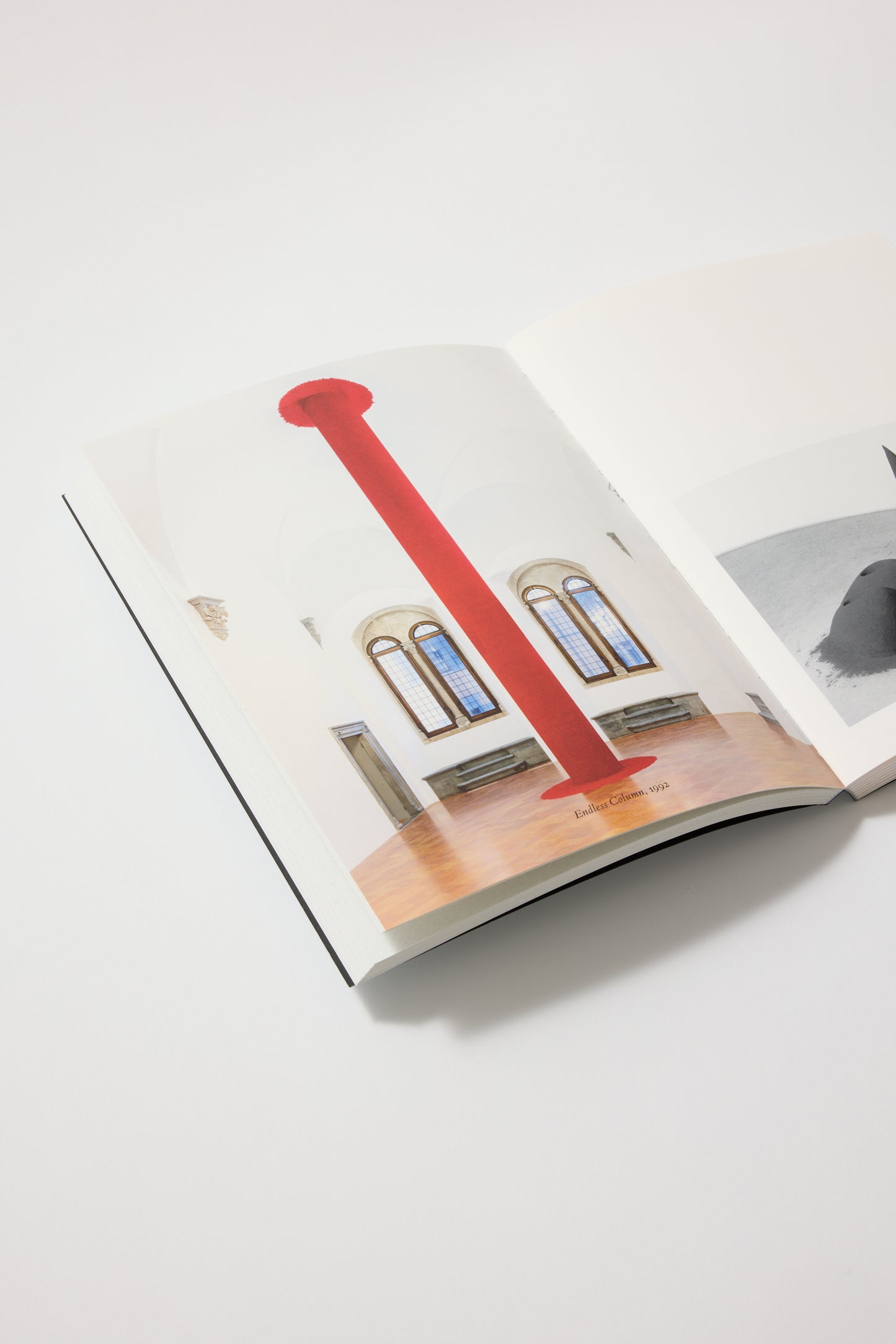 Anish Kapoor. Untrue Unreal