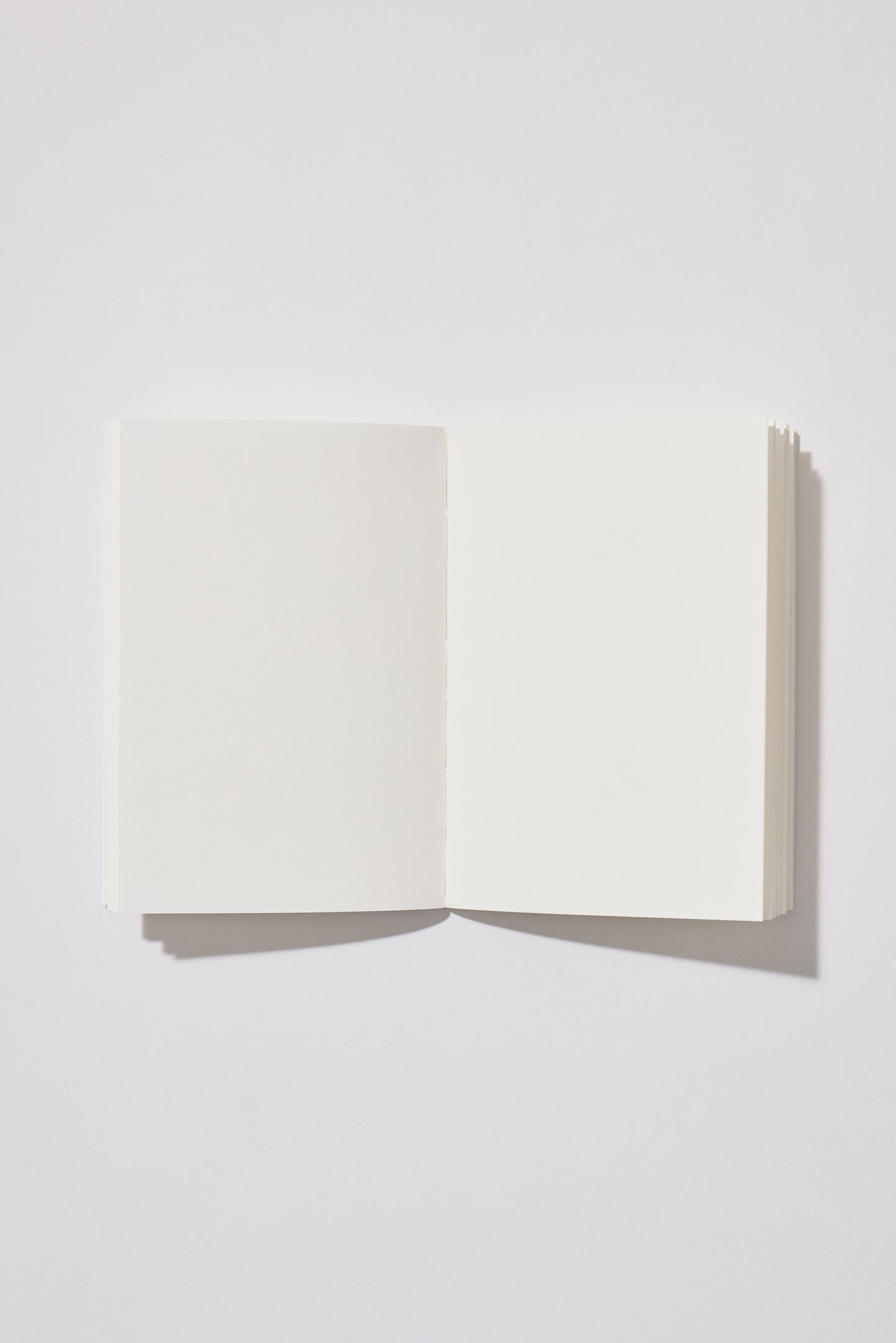 Libreta Blanca David Bailey