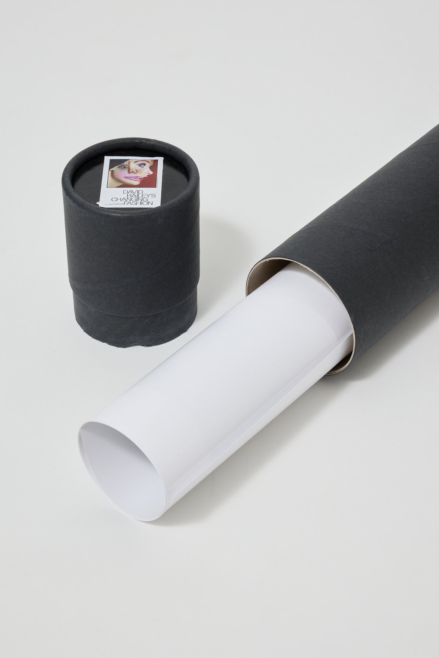 Design Print Jean Shrimpton David Hockney  © David Bailey