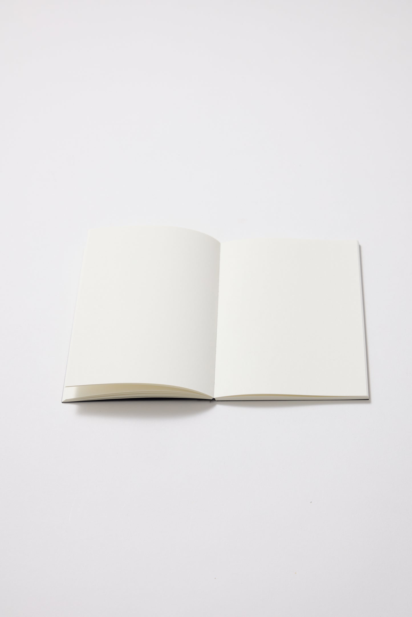 Cuaderno A6 Annie Leibovitz in Wonderland