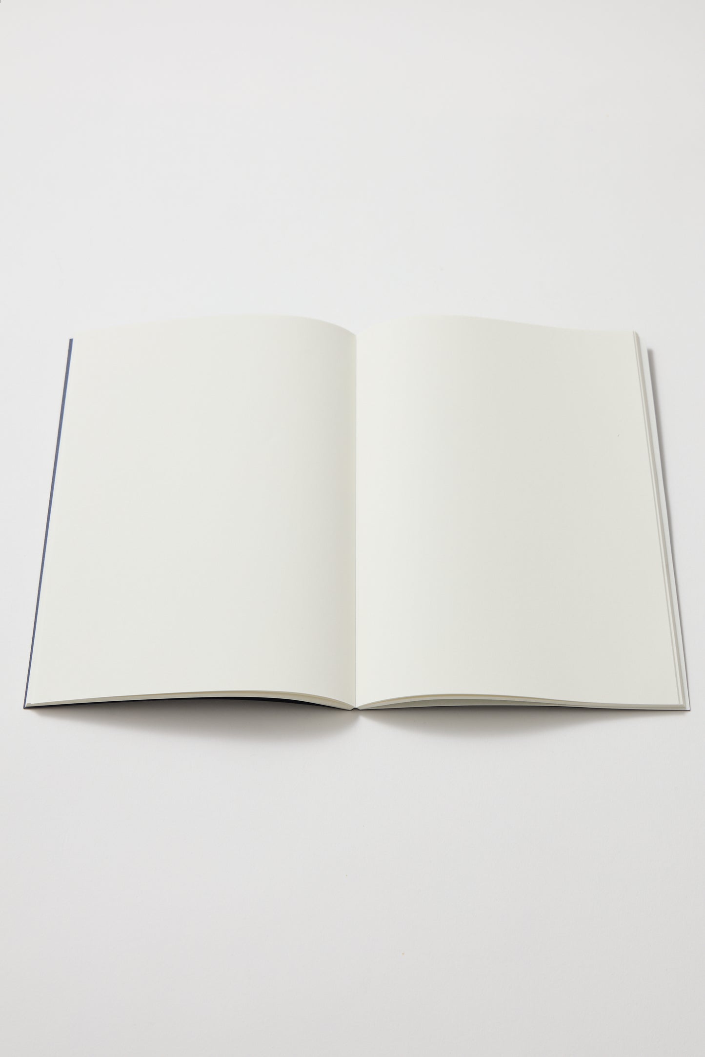 Cuaderno A5 Annie Leibovitz in Wonderland