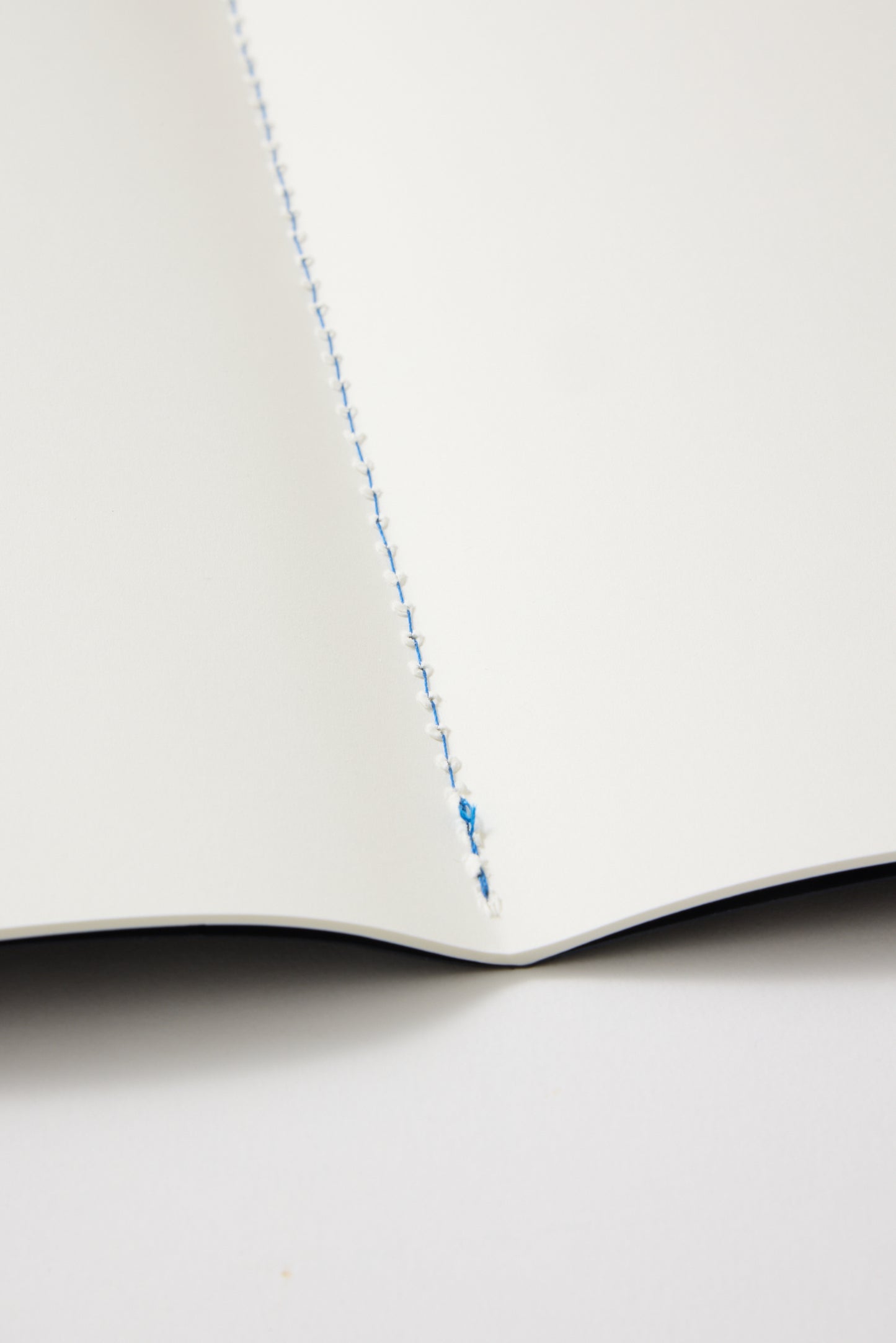 Libreta NV Palais Garnier París 2014 © Annie Leibovitz