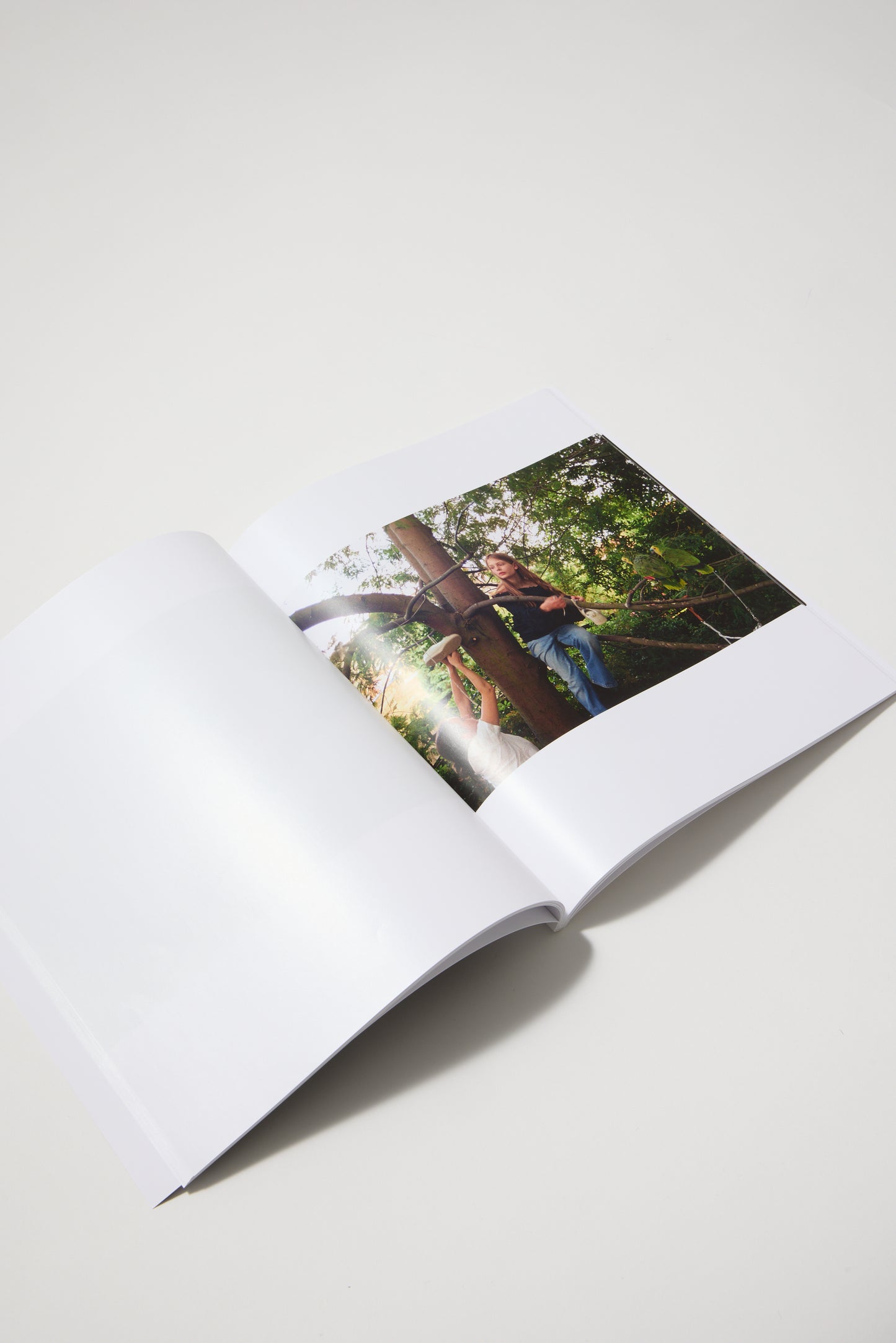 Angela Hill Sylvia Zine