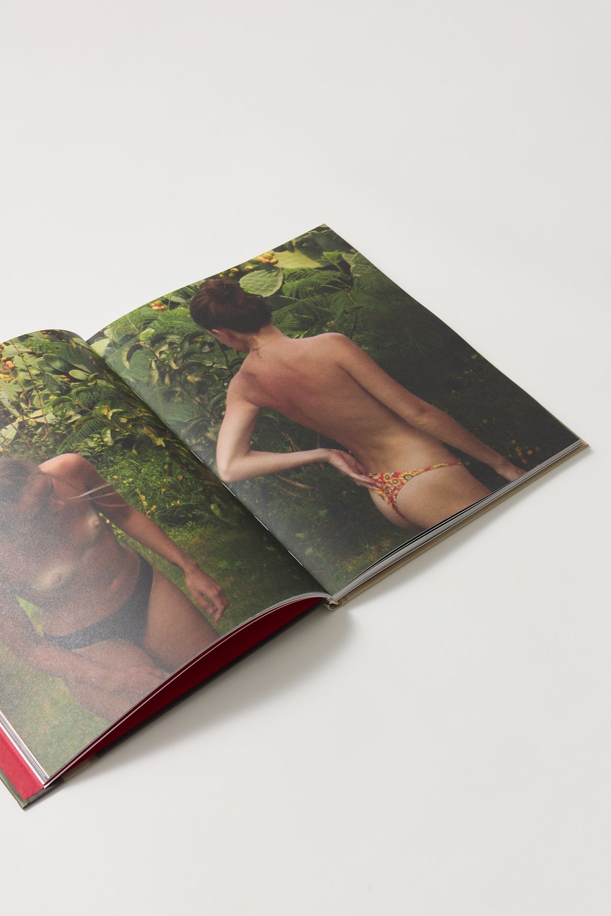 Entre Nou - Clara Bellevile