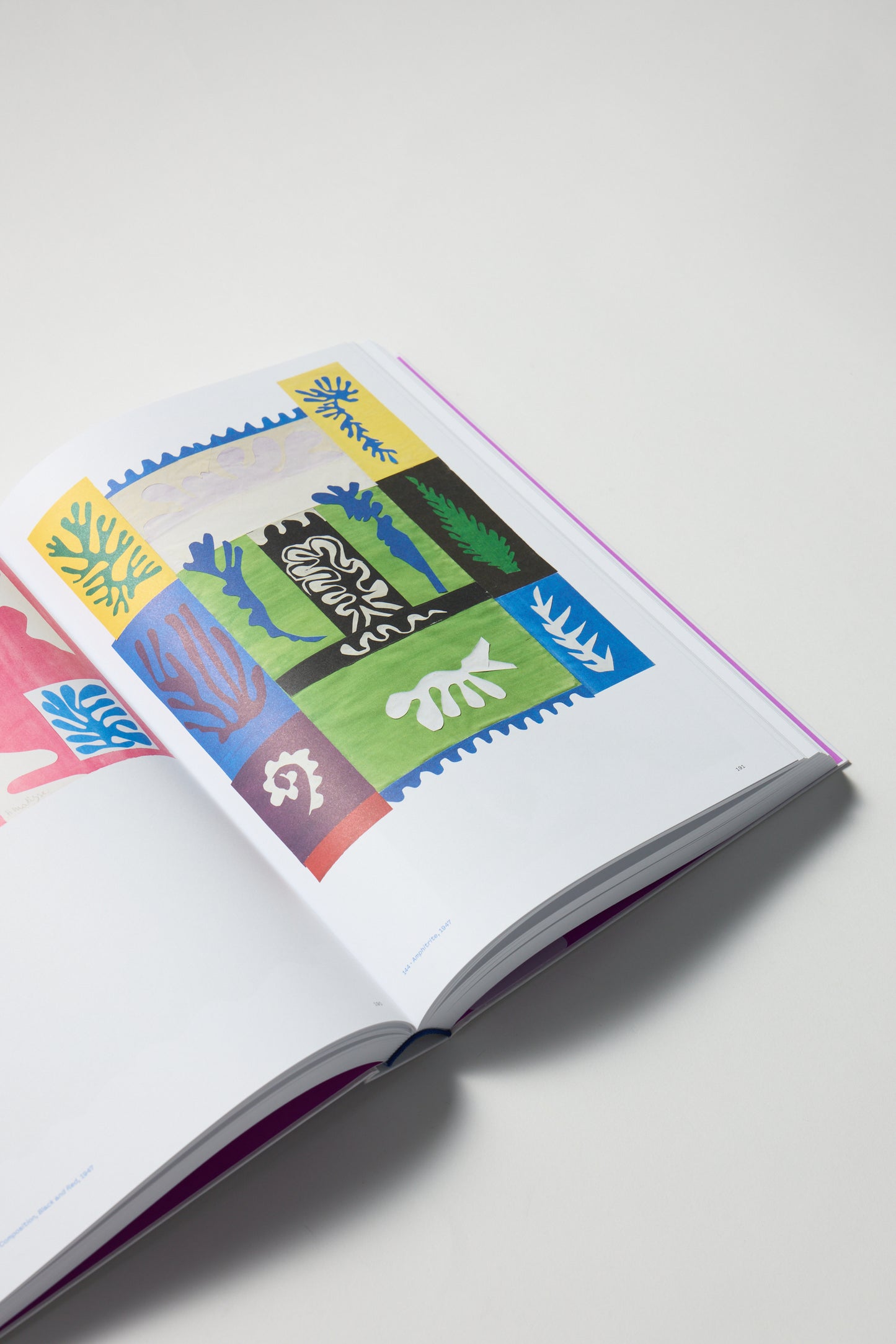 Colour Unbound: Henri Matisse 1941-1954