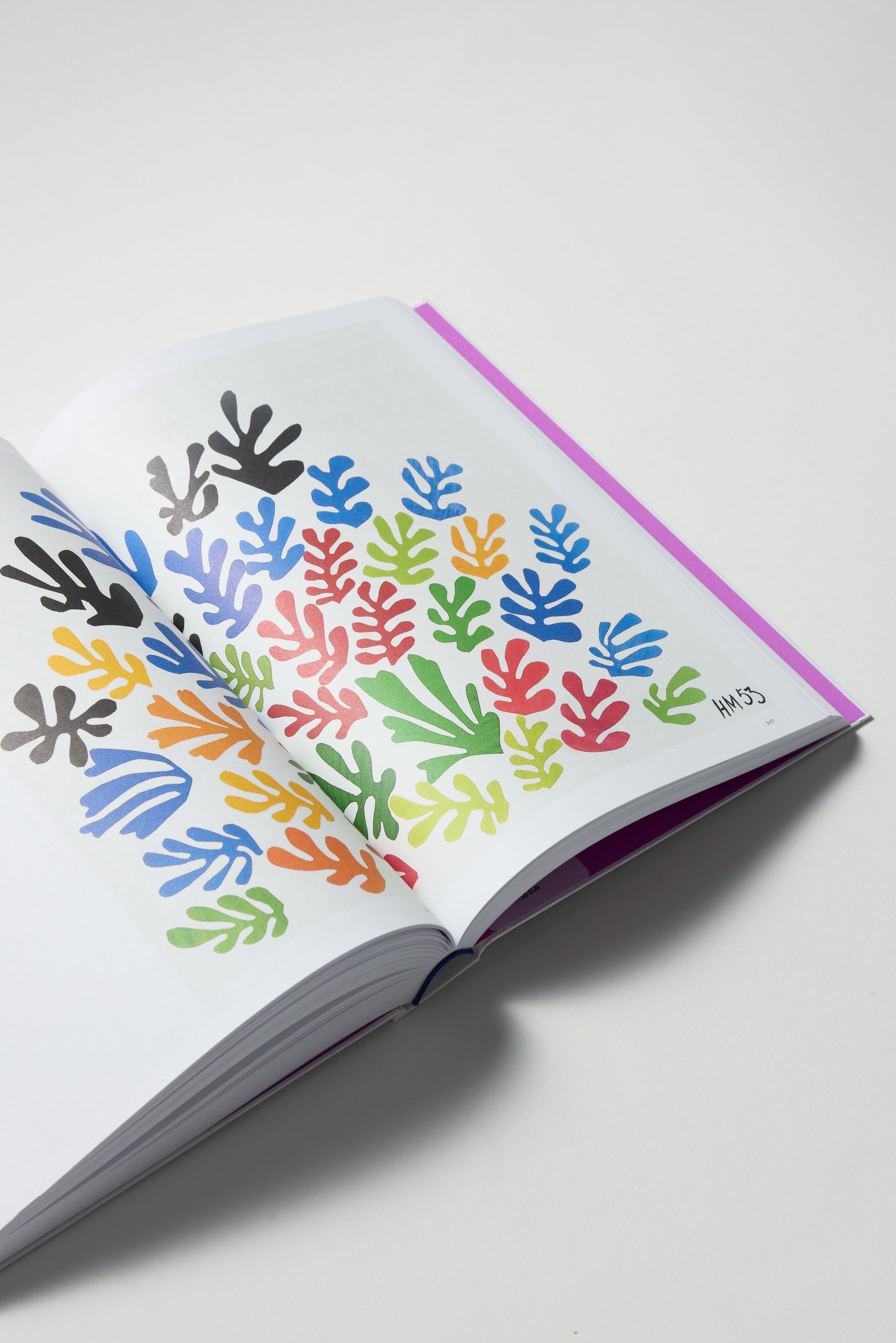 Colour Unbound: Henri Matisse 1941-1954