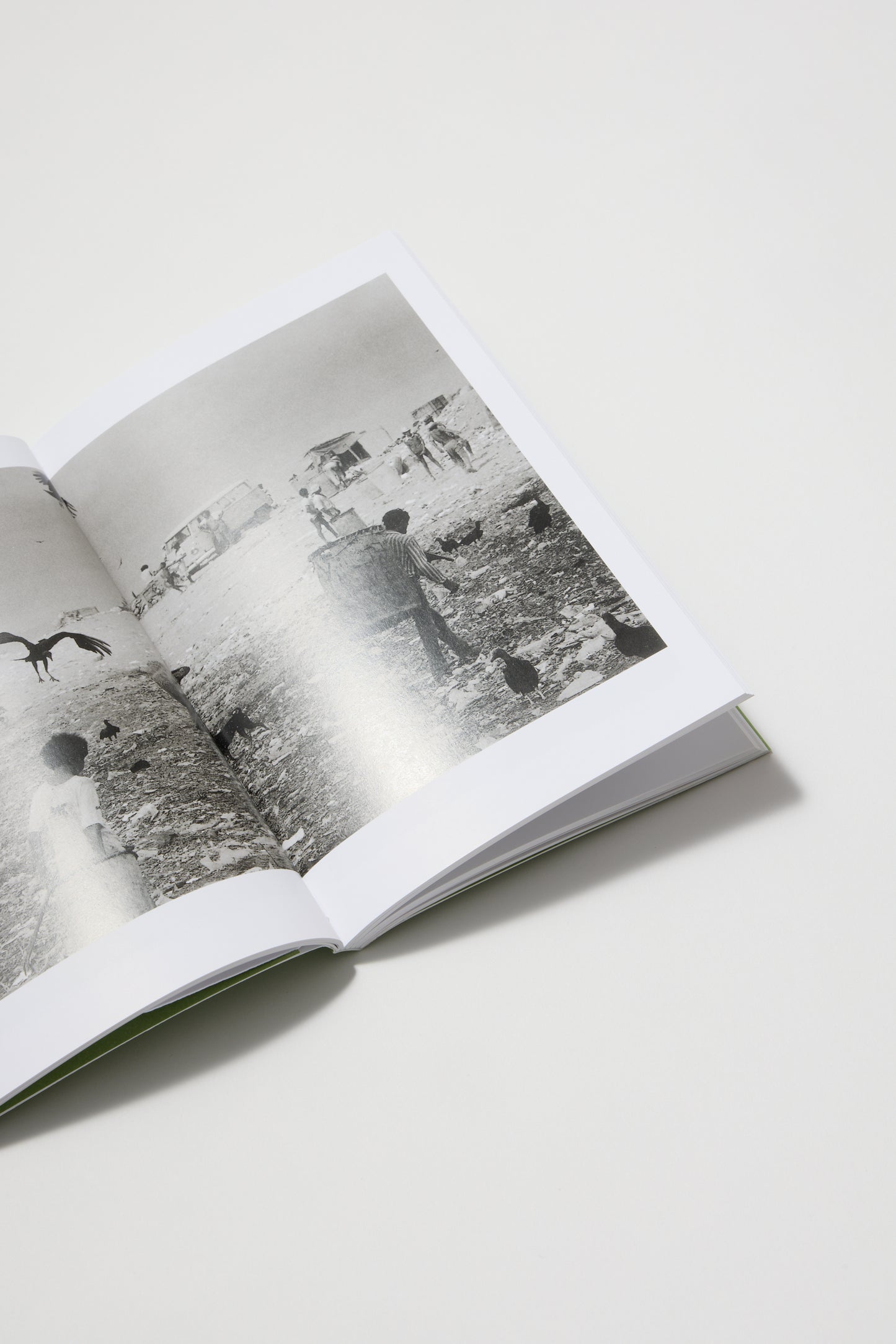 Sebastião Salgado (Photofile)