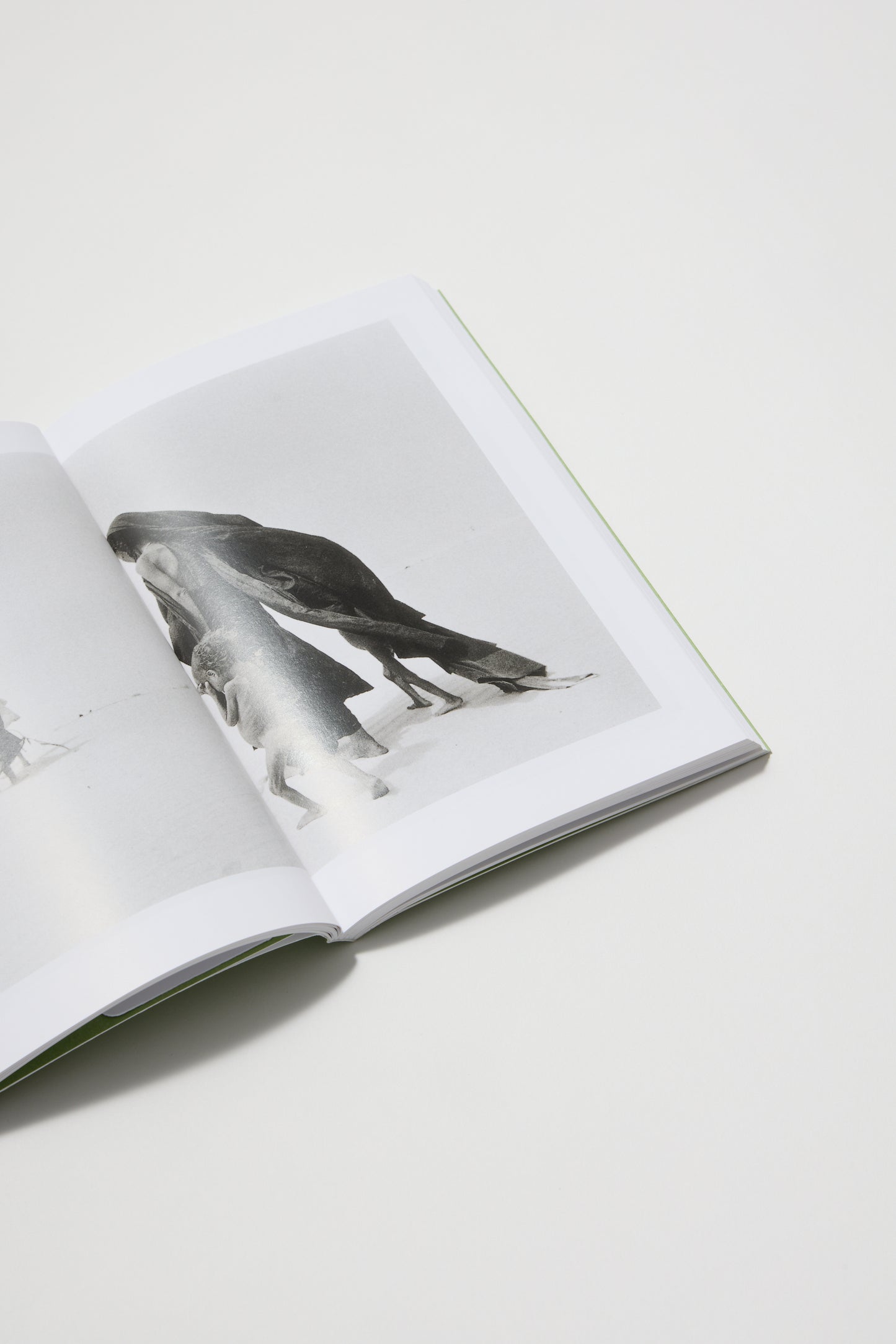 Sebastião Salgado (Photofile)