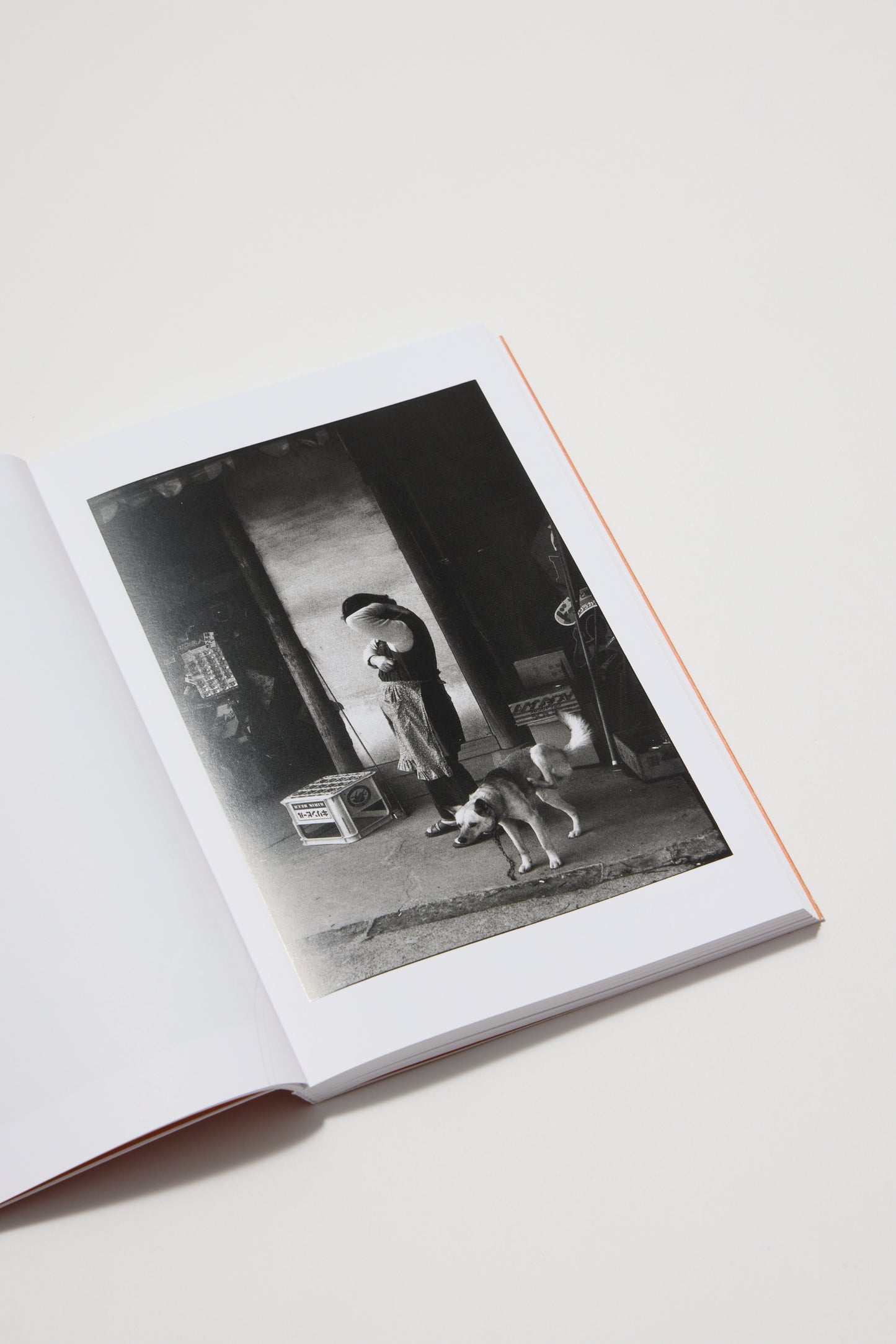 Elliott Erwitt (Photofile)