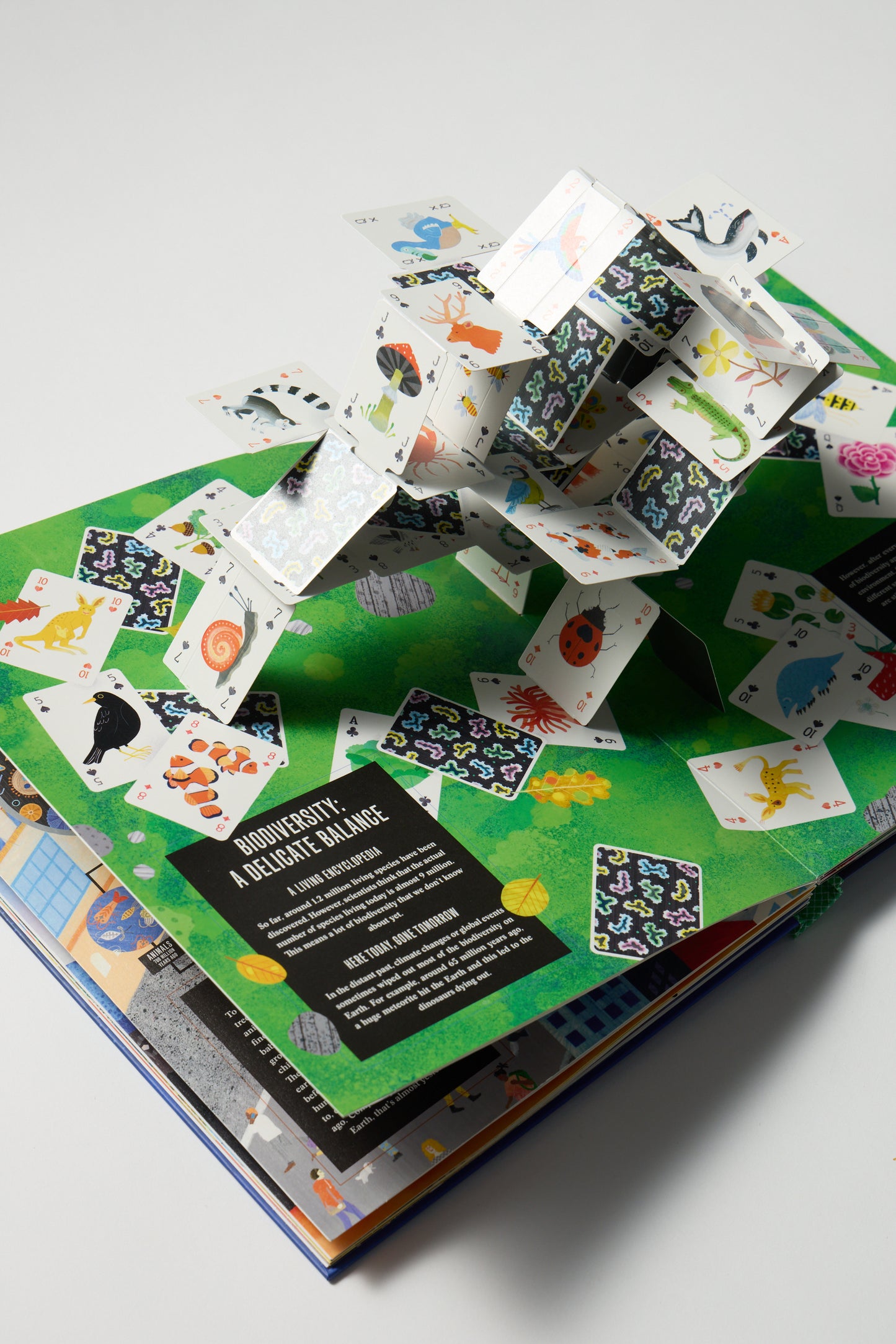 Pop-Up Earth