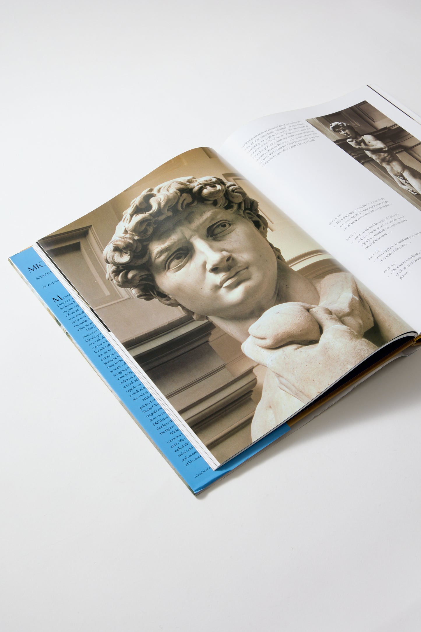 Michelangelo: The Complete Sculpture, Painting, Architecture