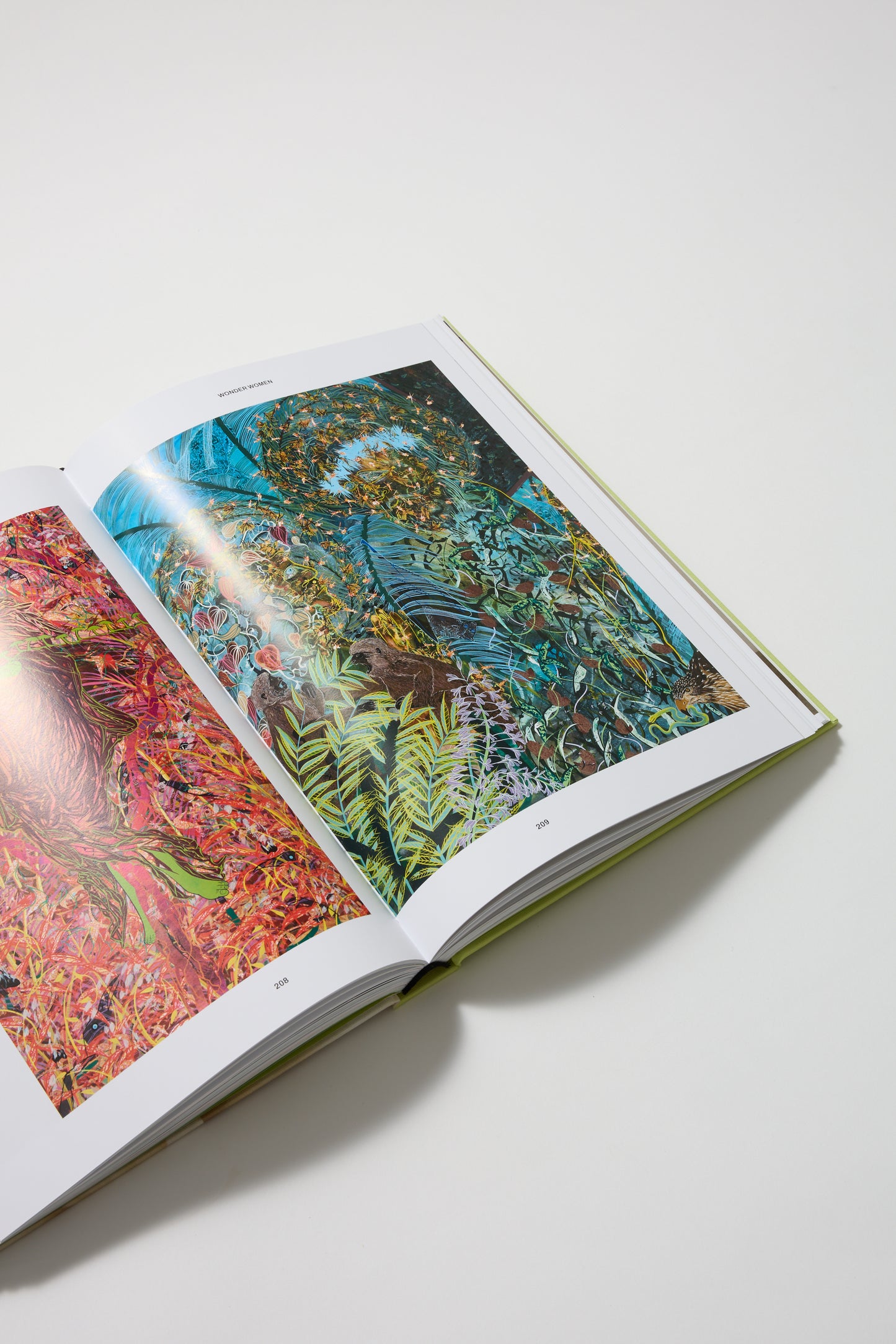 Wonder Women: Art of the Asian Diaspora