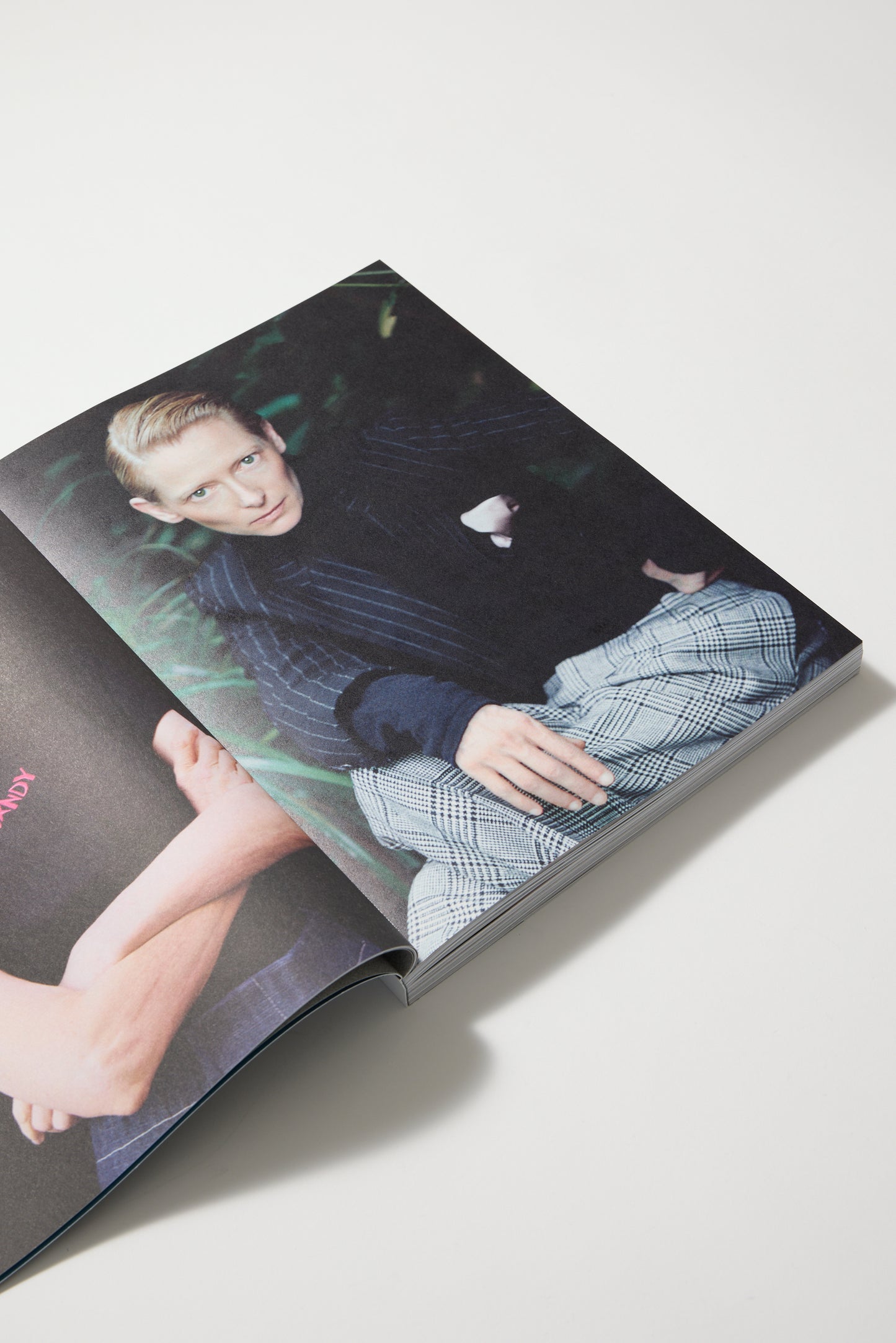 Tilda Swinton: Ongoing