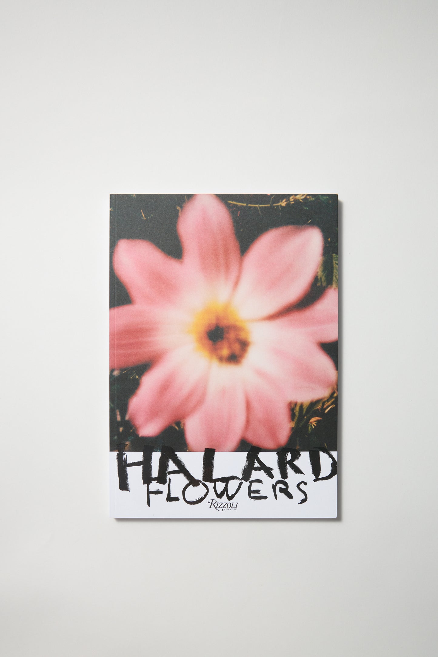 Francois Halard: Art & Flowers