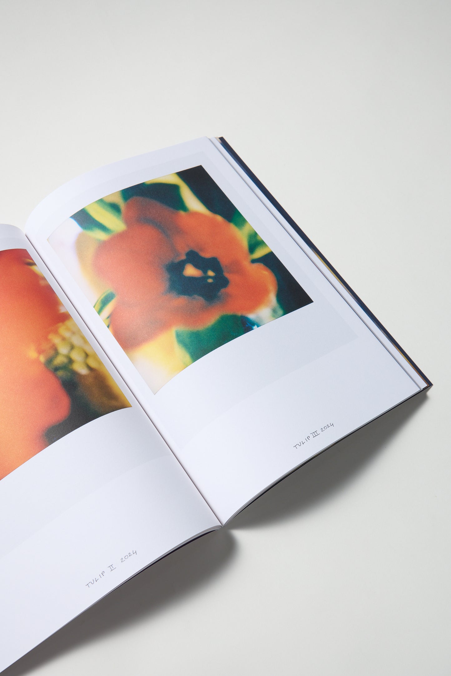 Francois Halard: Art & Flowers