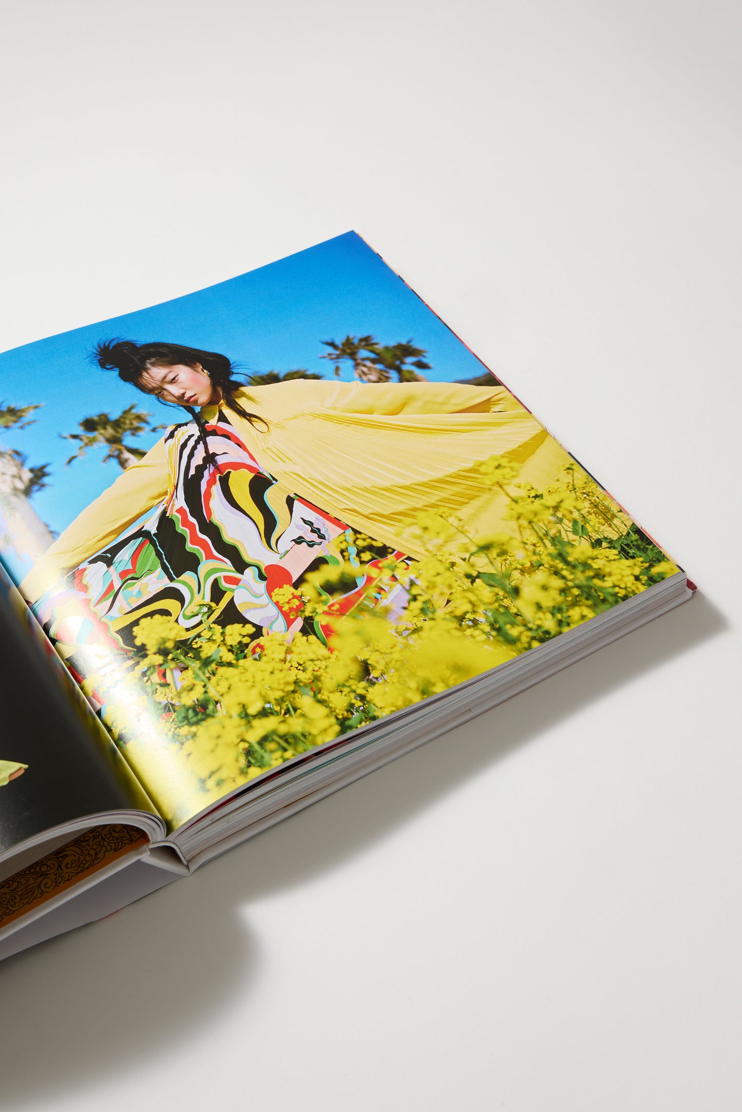 Pucci: The Art of Fashion