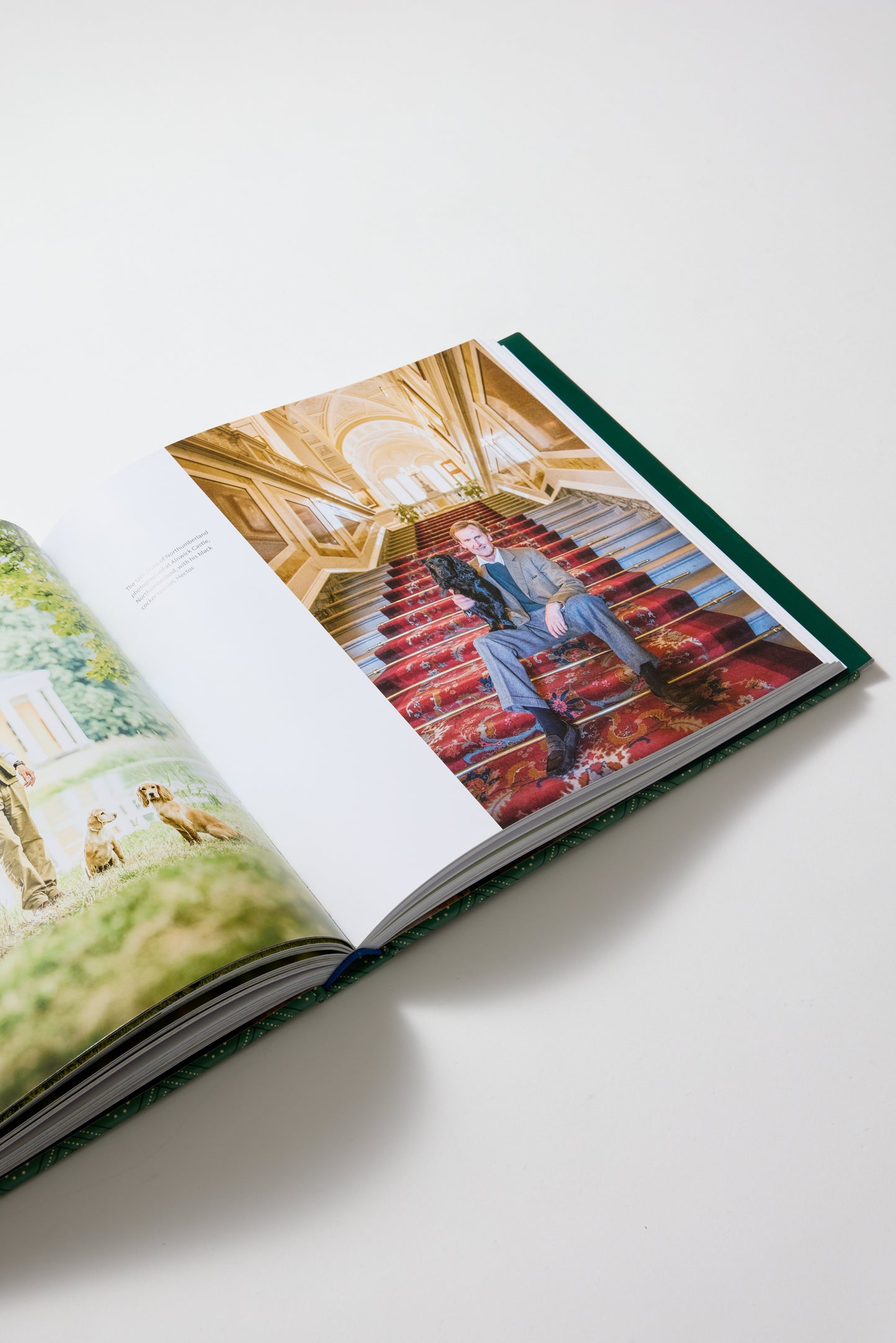 The country life book of dogs