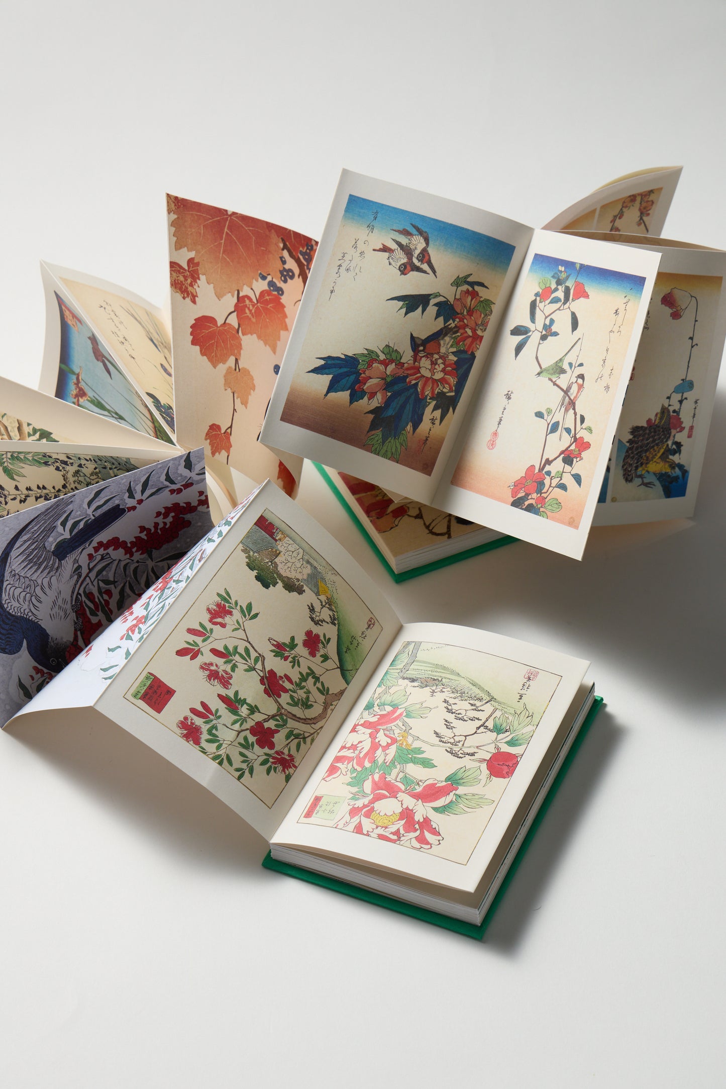 Flowers of Japan