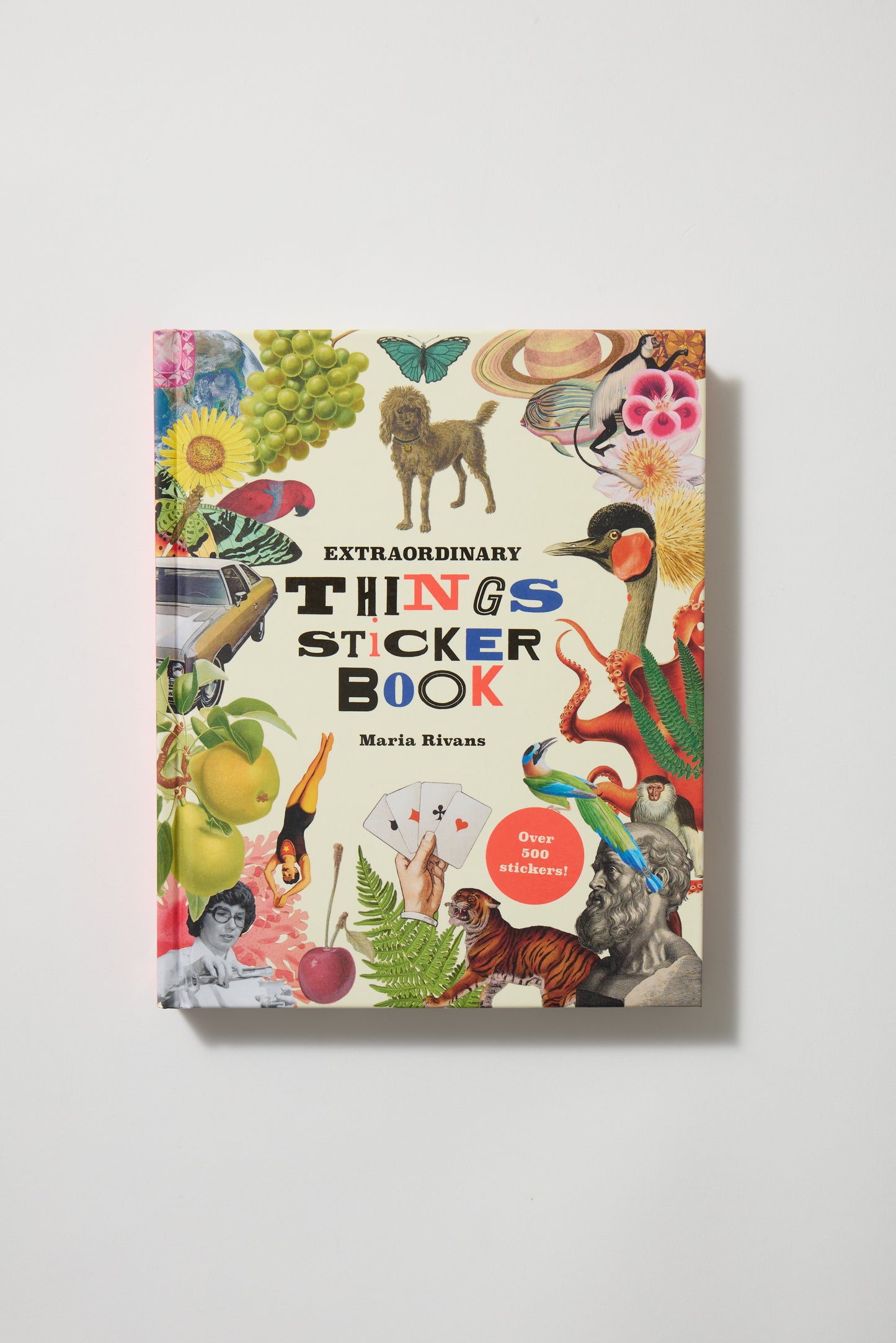 Extraordinary Things Sticker Book