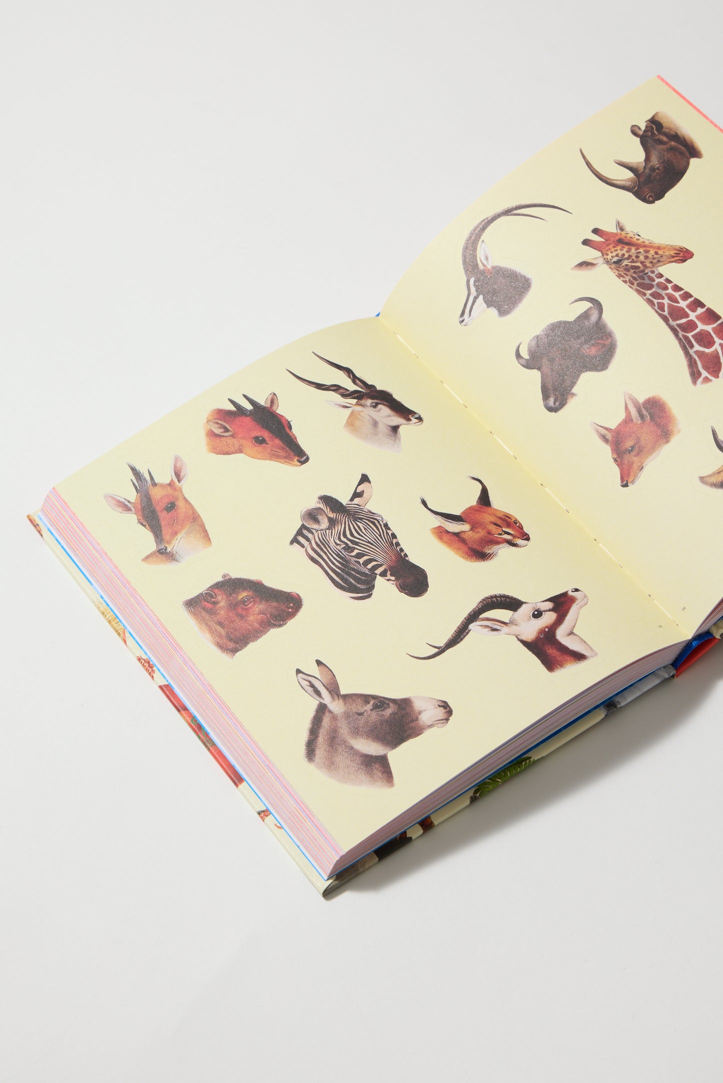 Extraordinary Things Sticker Book