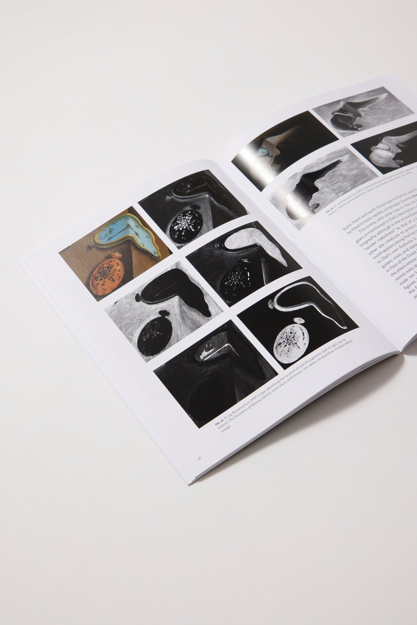 Salvador Dalí: The Persistence of Memory: MoMA One on One Series