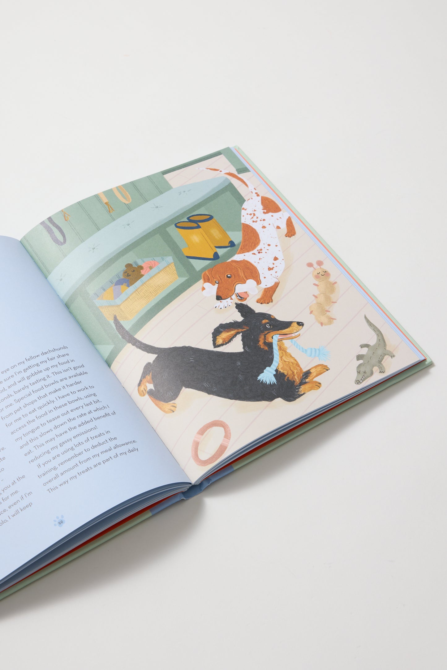 Dachshunds: What Dachshunds Want: In Their Own Words, Woofs, and Wags