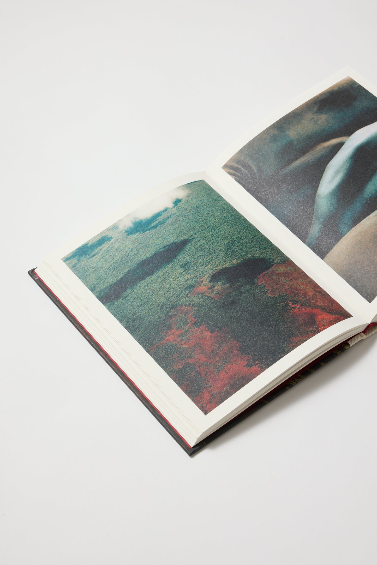 Días, Pía Riverola