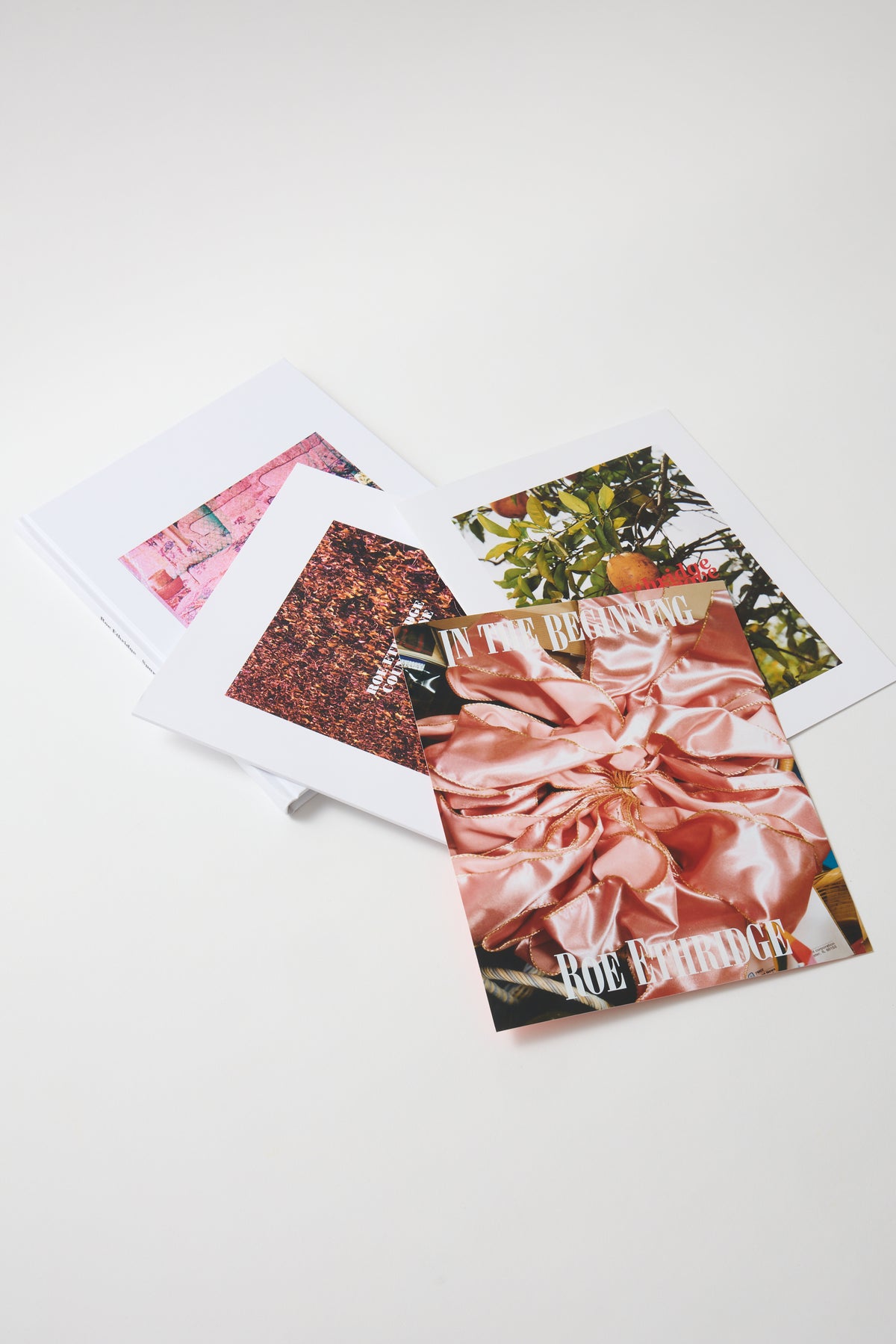 Roe Ethridge – In the Beginning