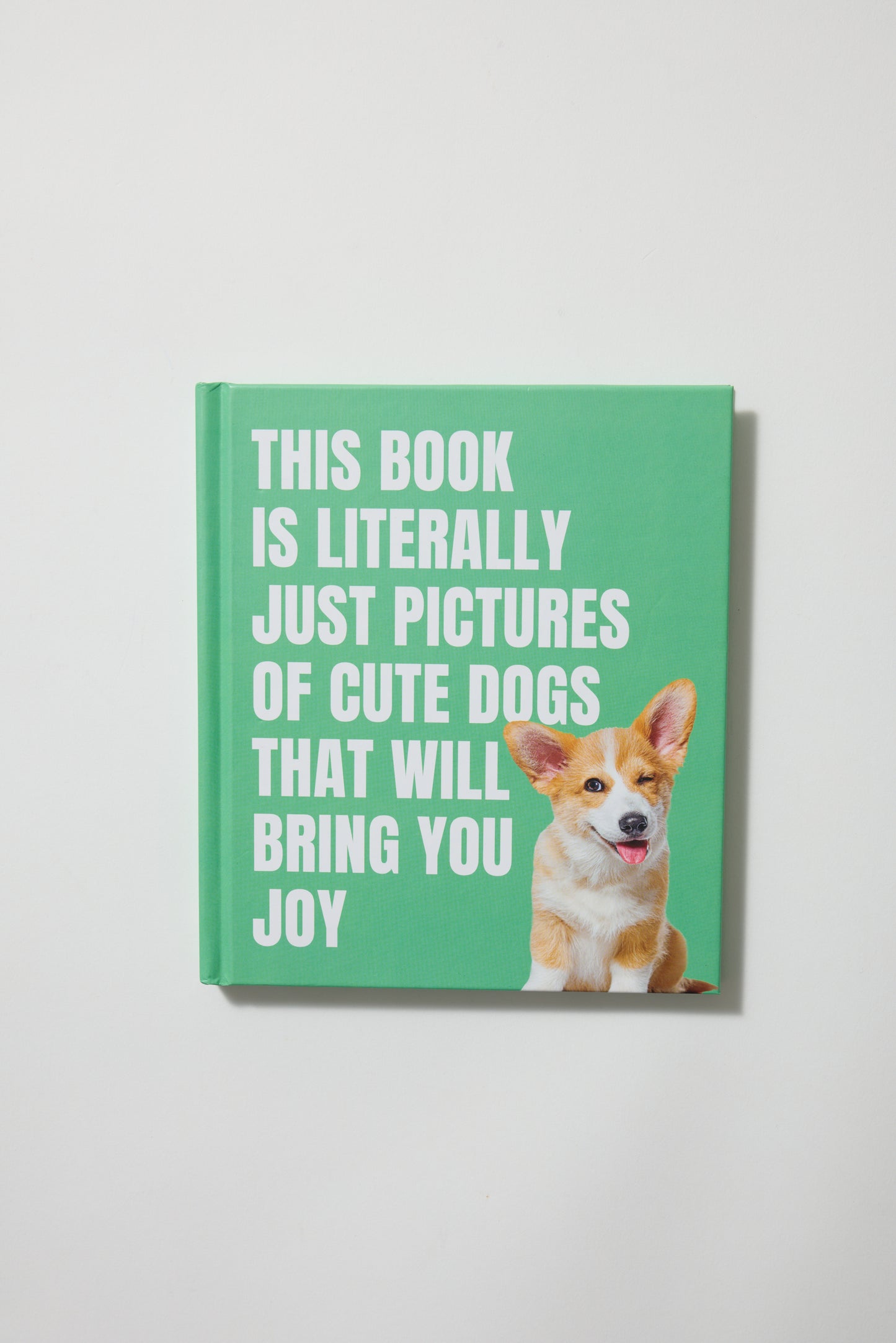 This Book is Literally Just Cute Dogs That Will Bring You Joy