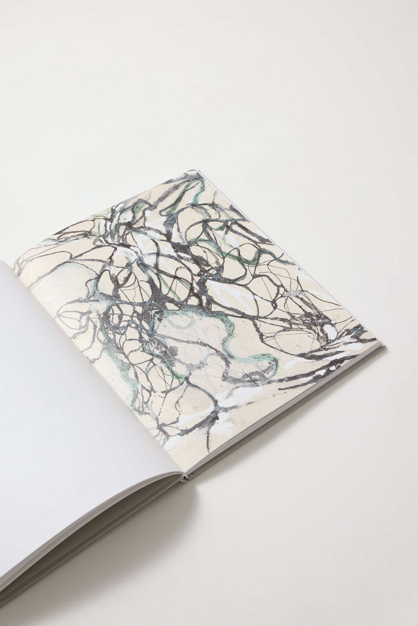 Brice Marden: Works on paper