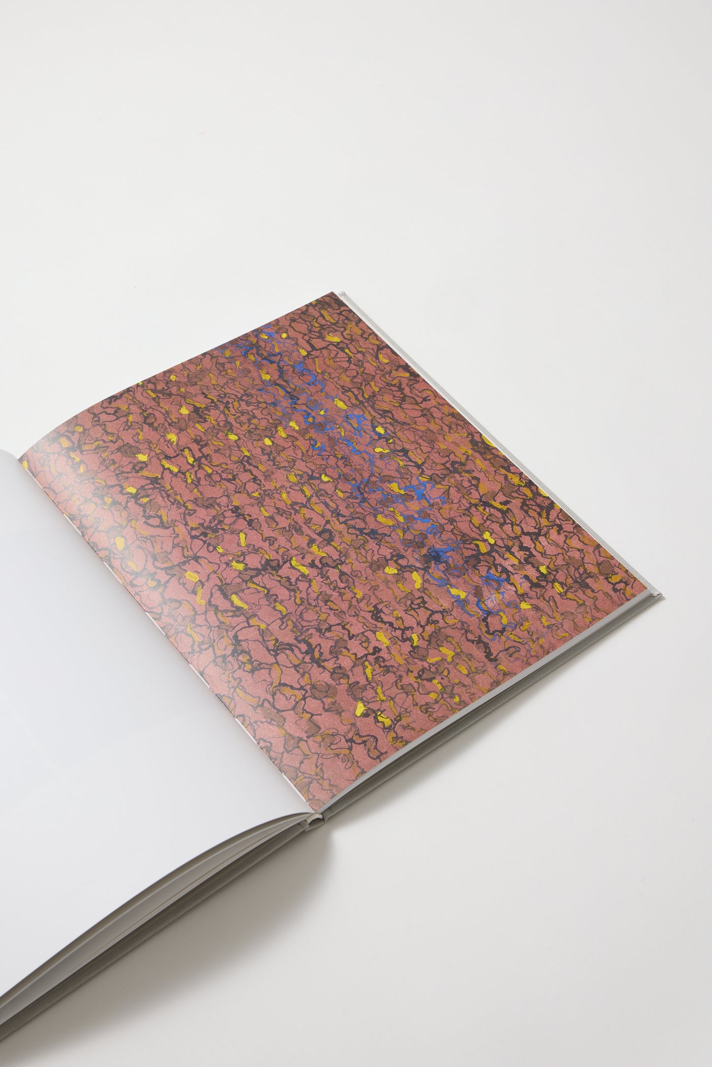 Brice Marden: Works on paper