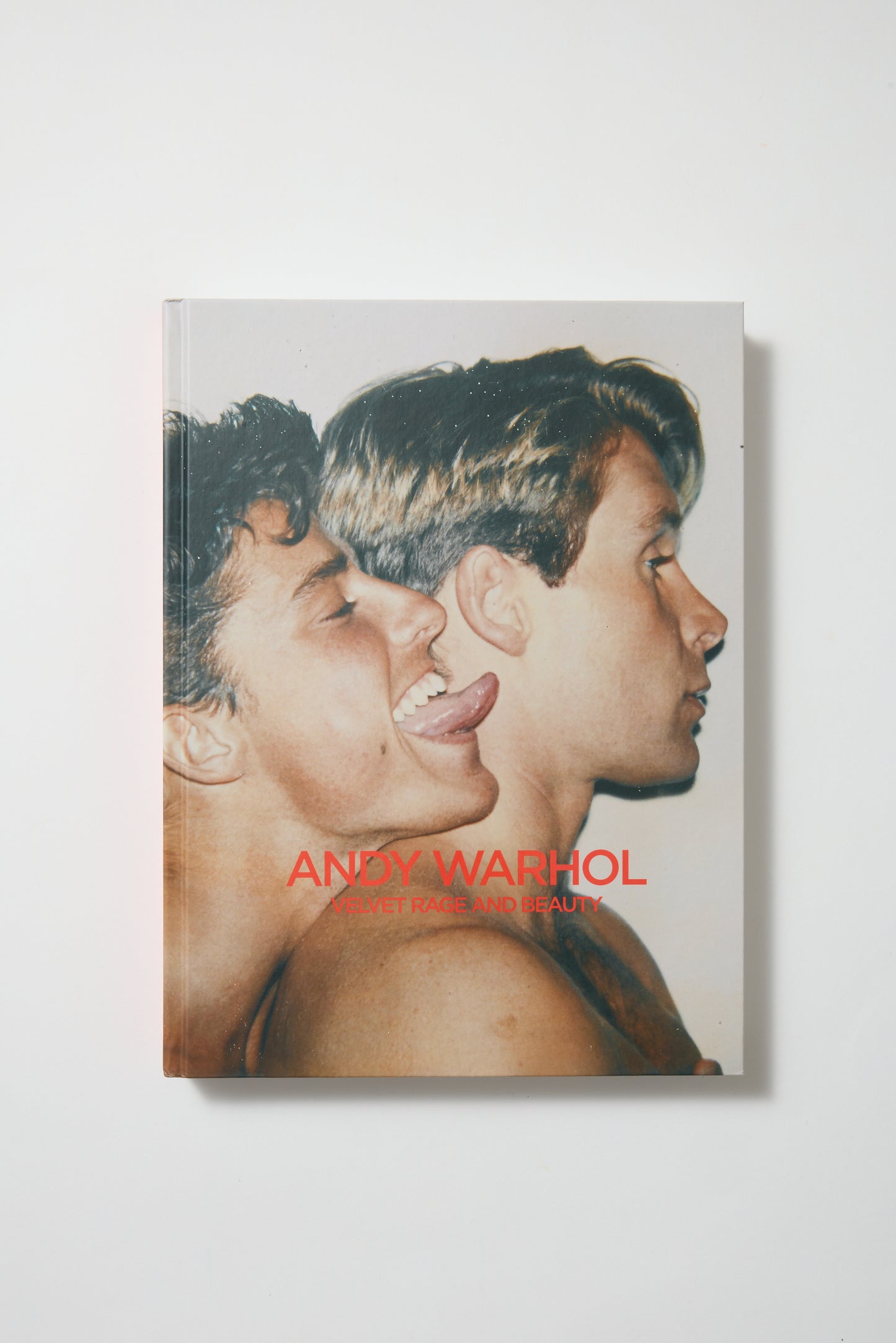 Andy Warhol. Velvet Rage and Beauty