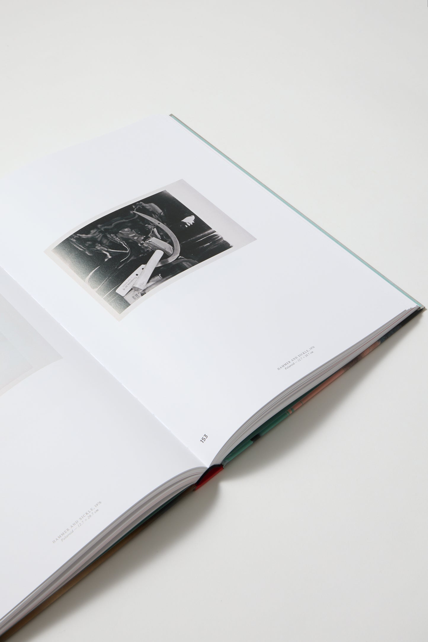 Andy Warhol. Velvet Rage and Beauty