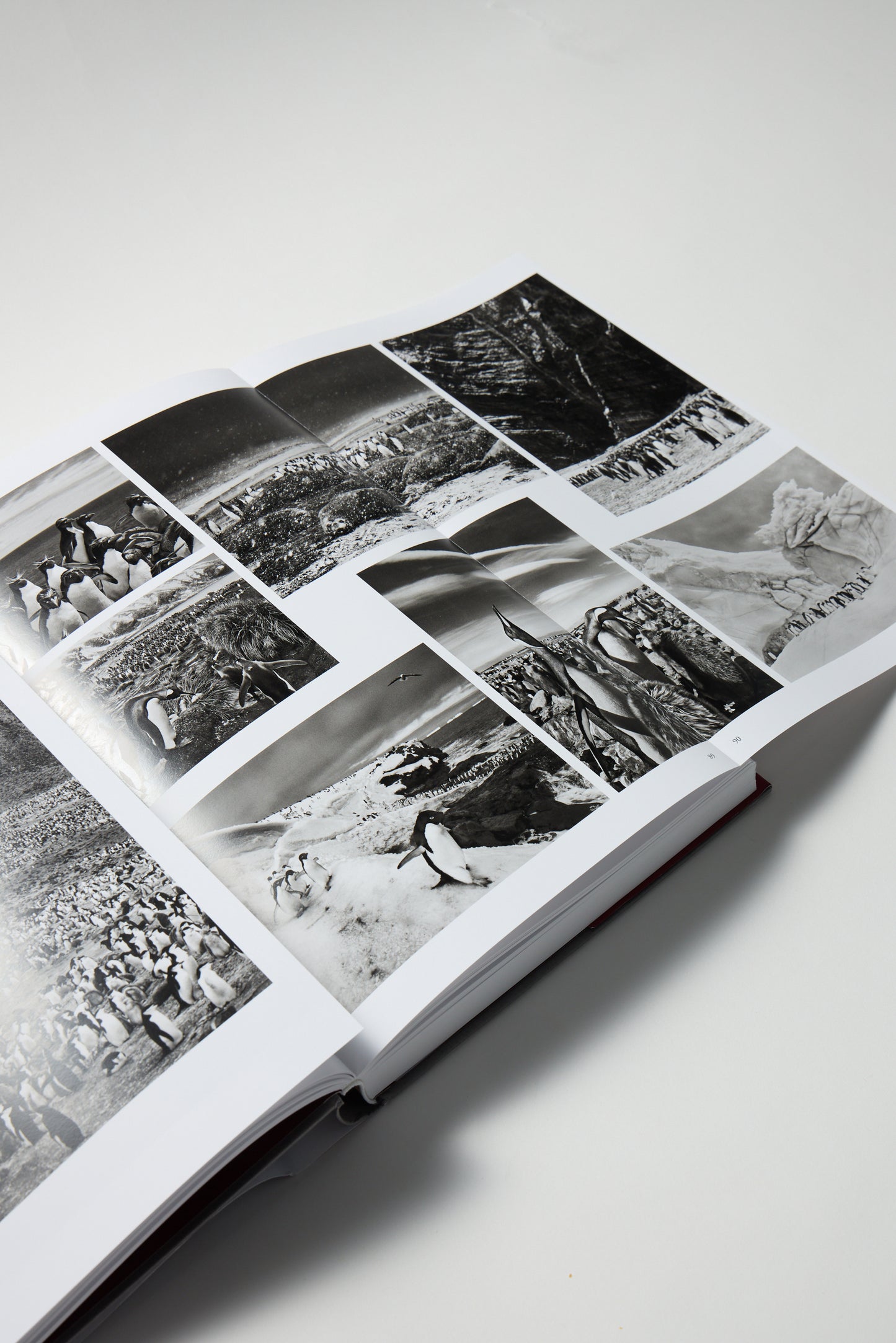 Sebastiao Salgado: Genesis