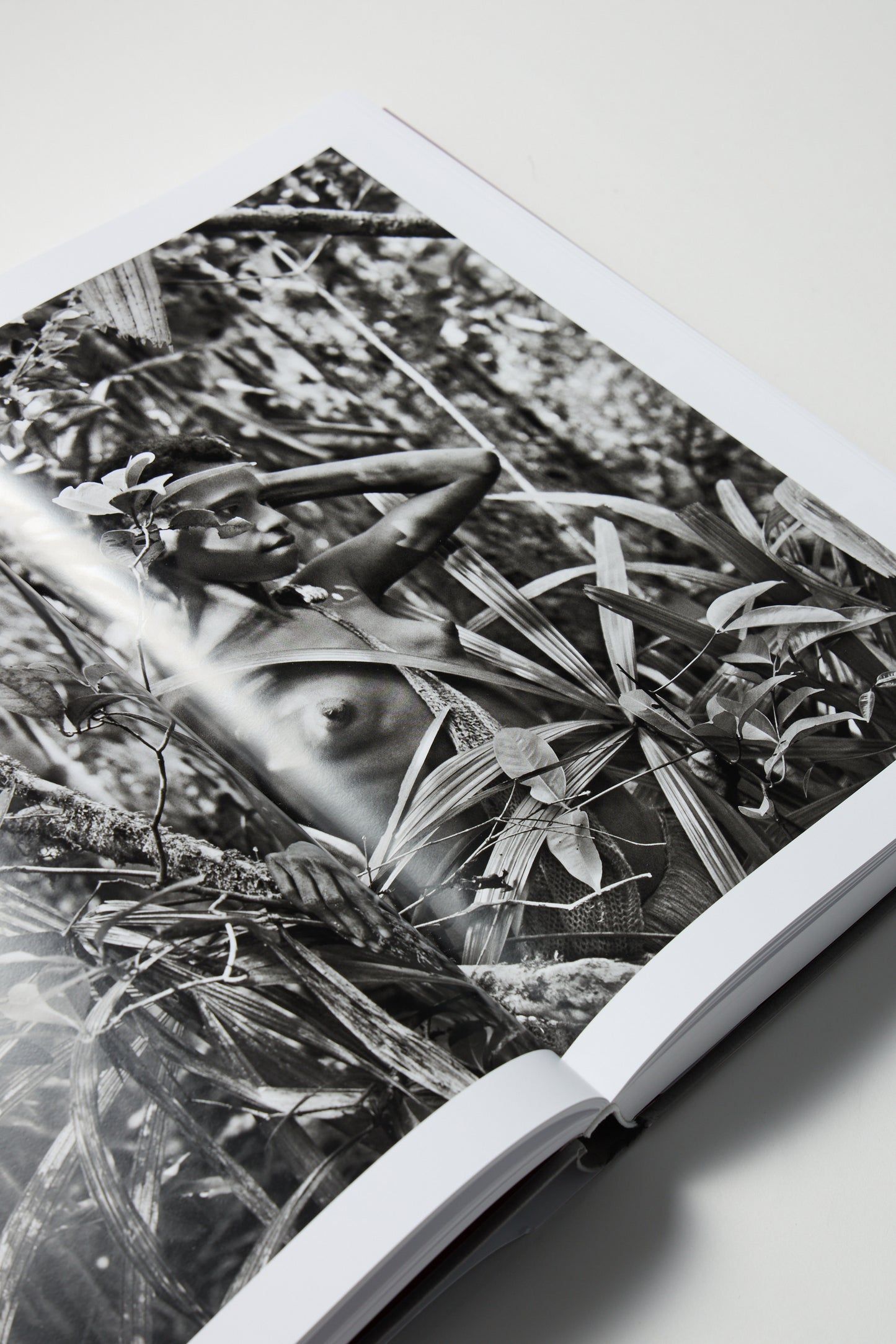 Sebastiao Salgado: Genesis