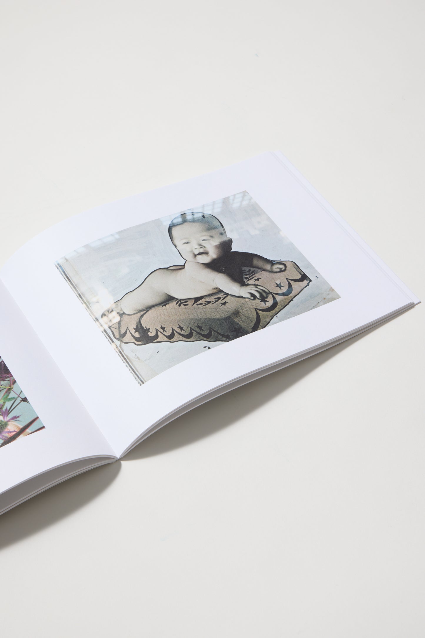 Nobuyoshi Araki & Juergen Teller: Leben und Tod