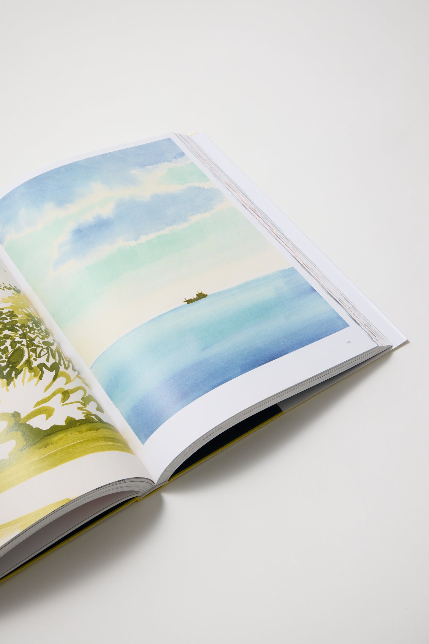 Christoph Niemann: Away