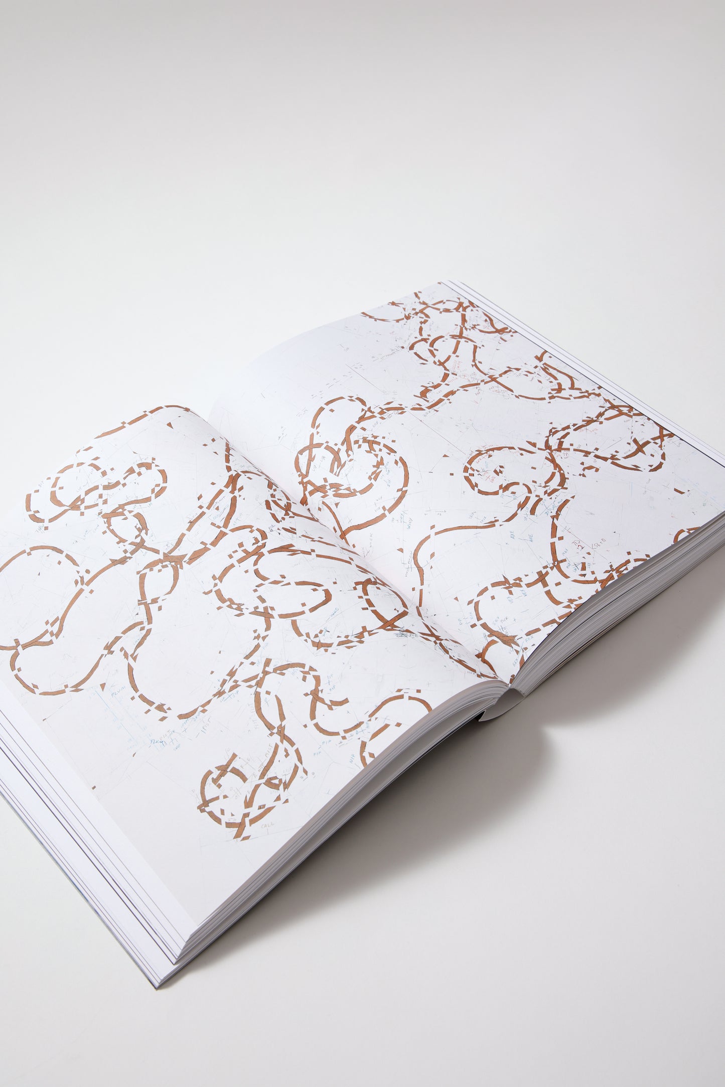 Roni Horn: The Detour of Identity