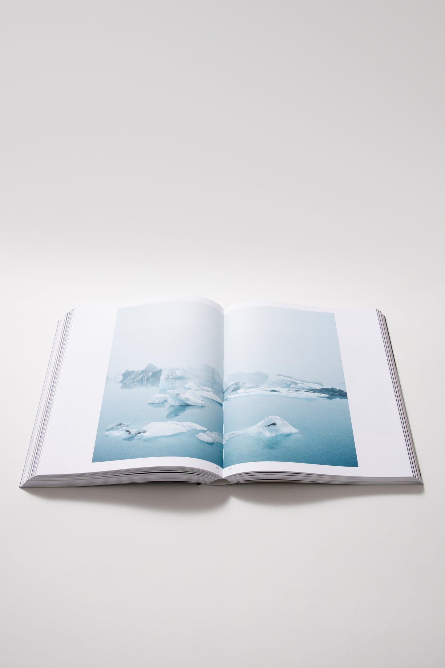 Roni Horn: The Detour of Identity