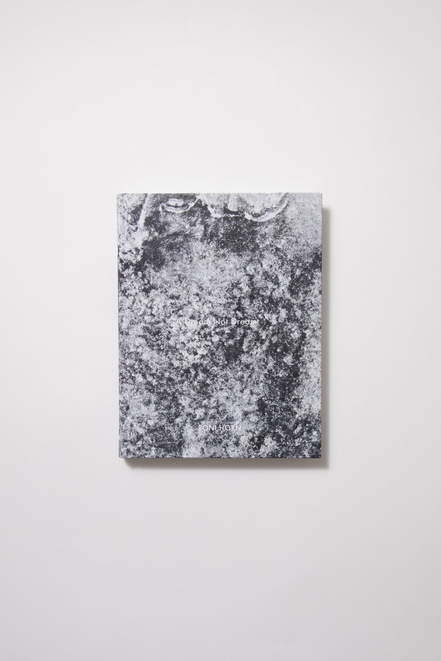 Roni Horn: A Dream Not Dreamt